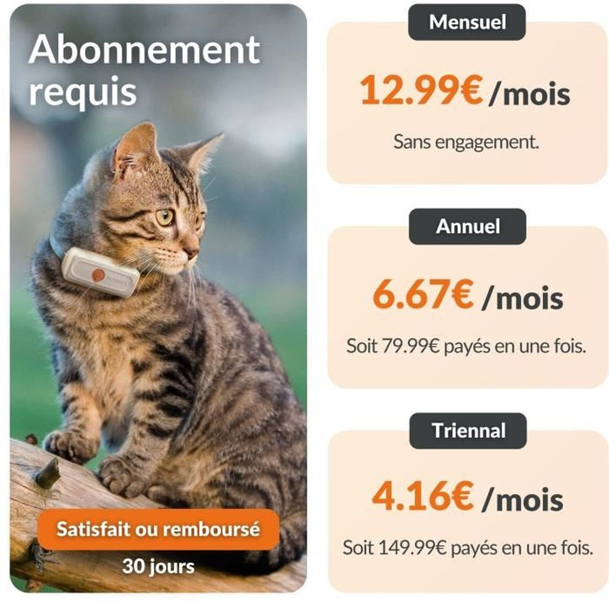 Katze mit Halsband auf Baumstamm, Abomodelle mit Preisen.