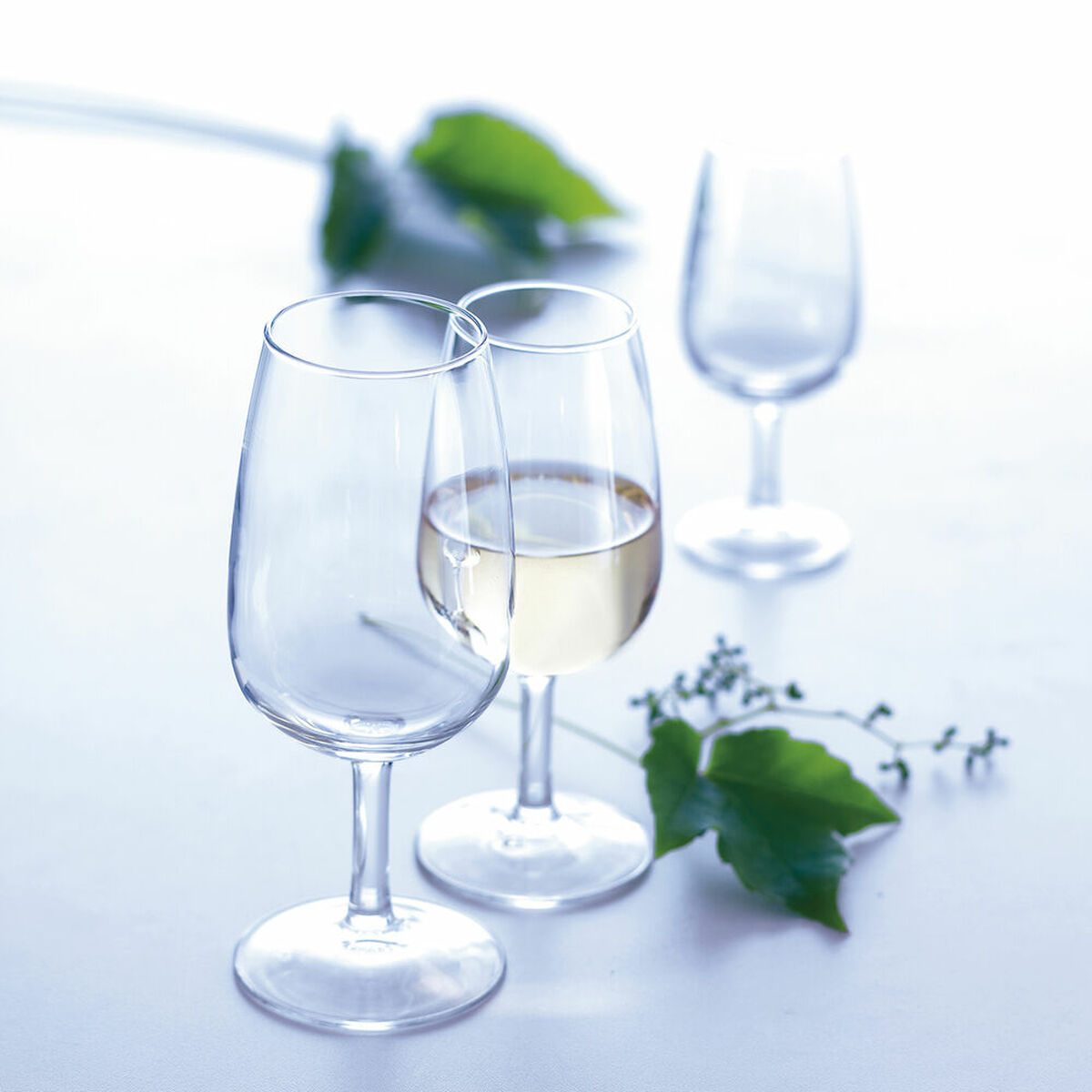 Drei Weingläser, eines mit Weißwein, auf einem Tisch mit Blättern.