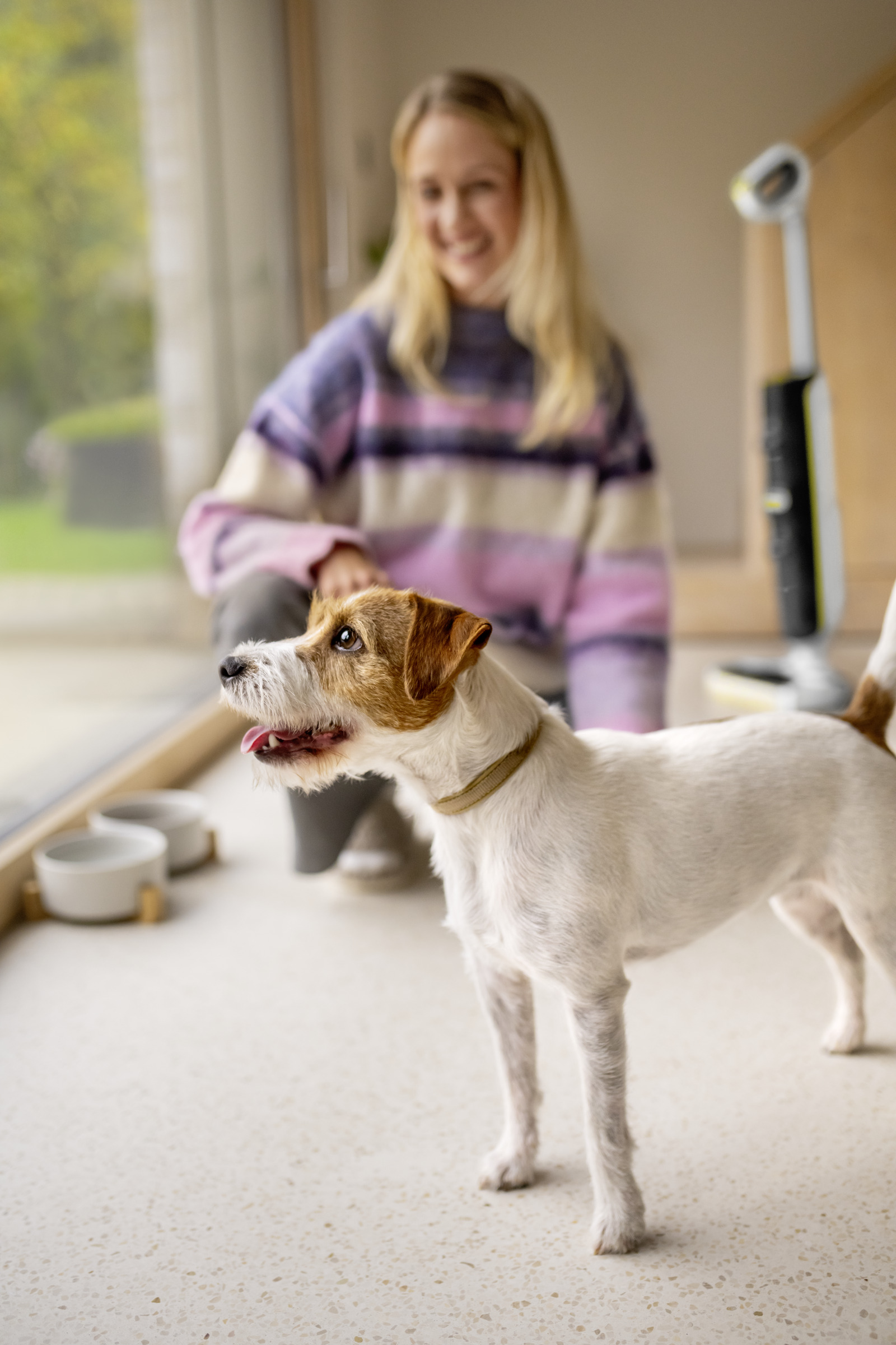 Un Jack Russell Terrier si trova davanti a una donna con maglione a righe.