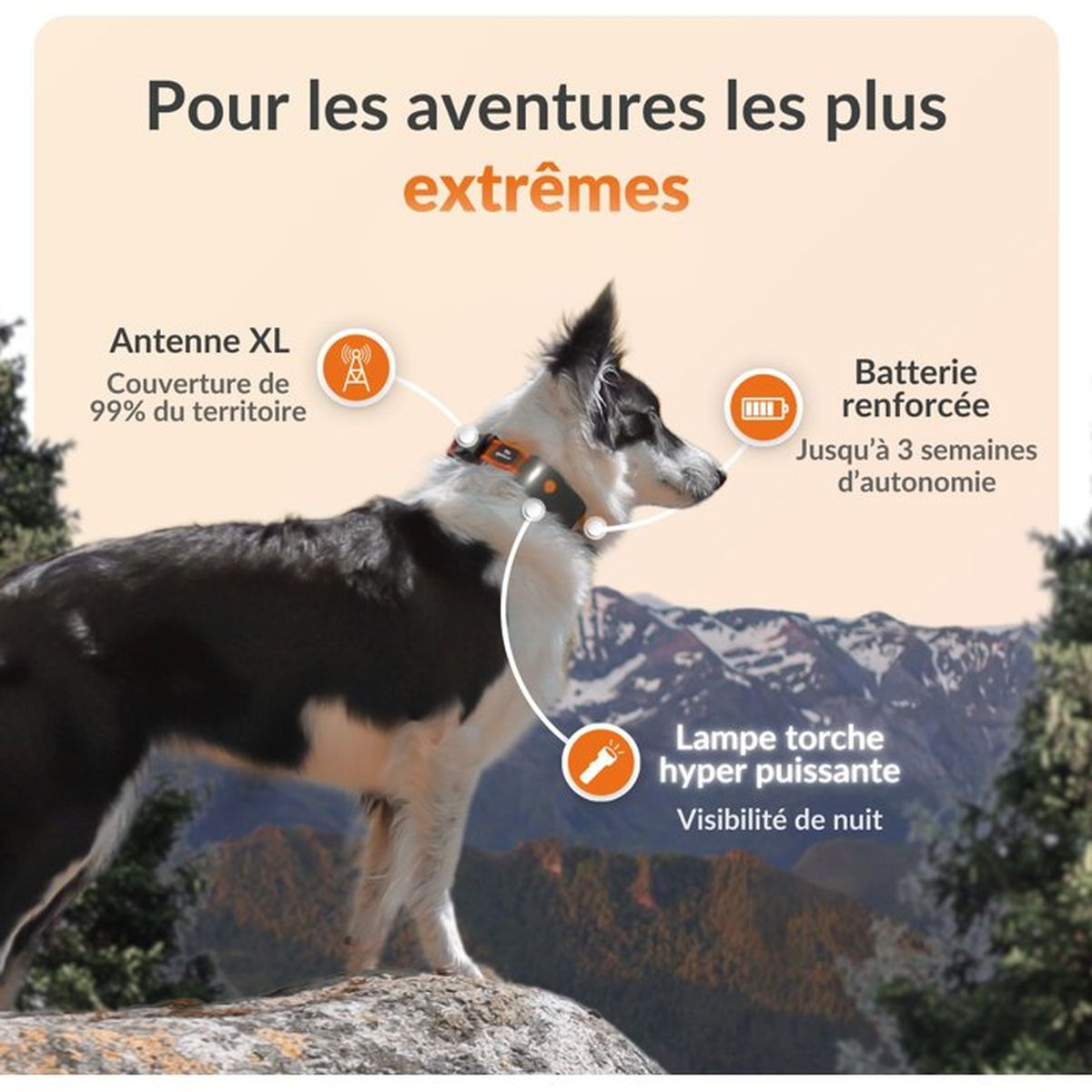 Schwarz-weißer Hund mit GPS-Halsband, Text über extreme Abenteuer.