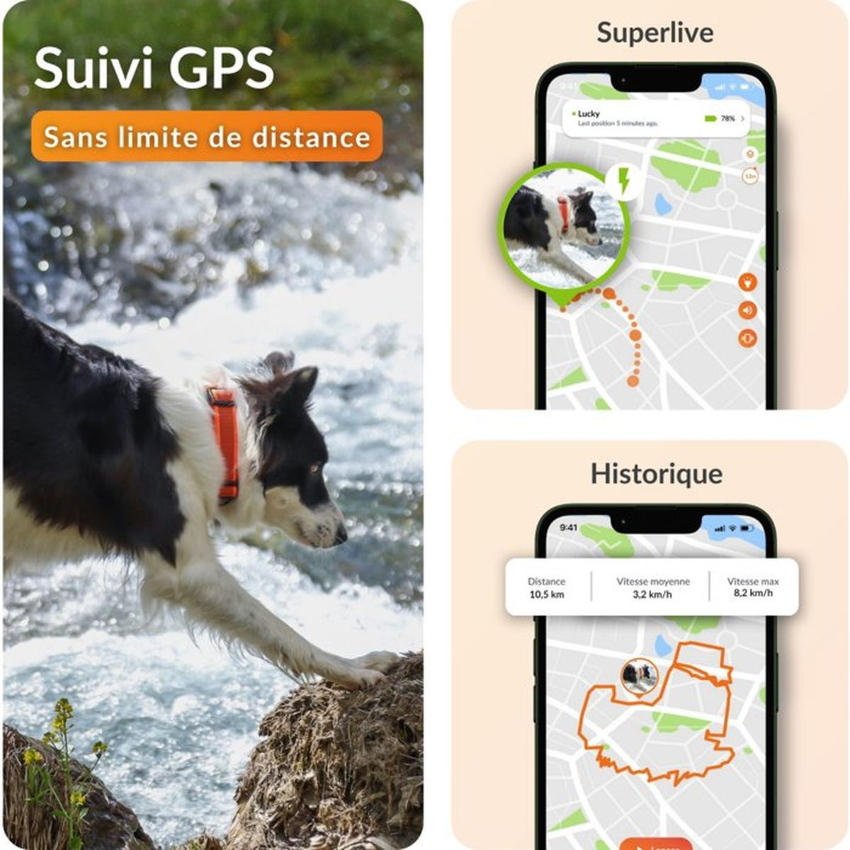 Ein Hund mit GPS-Tracker am Fluss. Handy zeigt Live-Tracking und Historie.