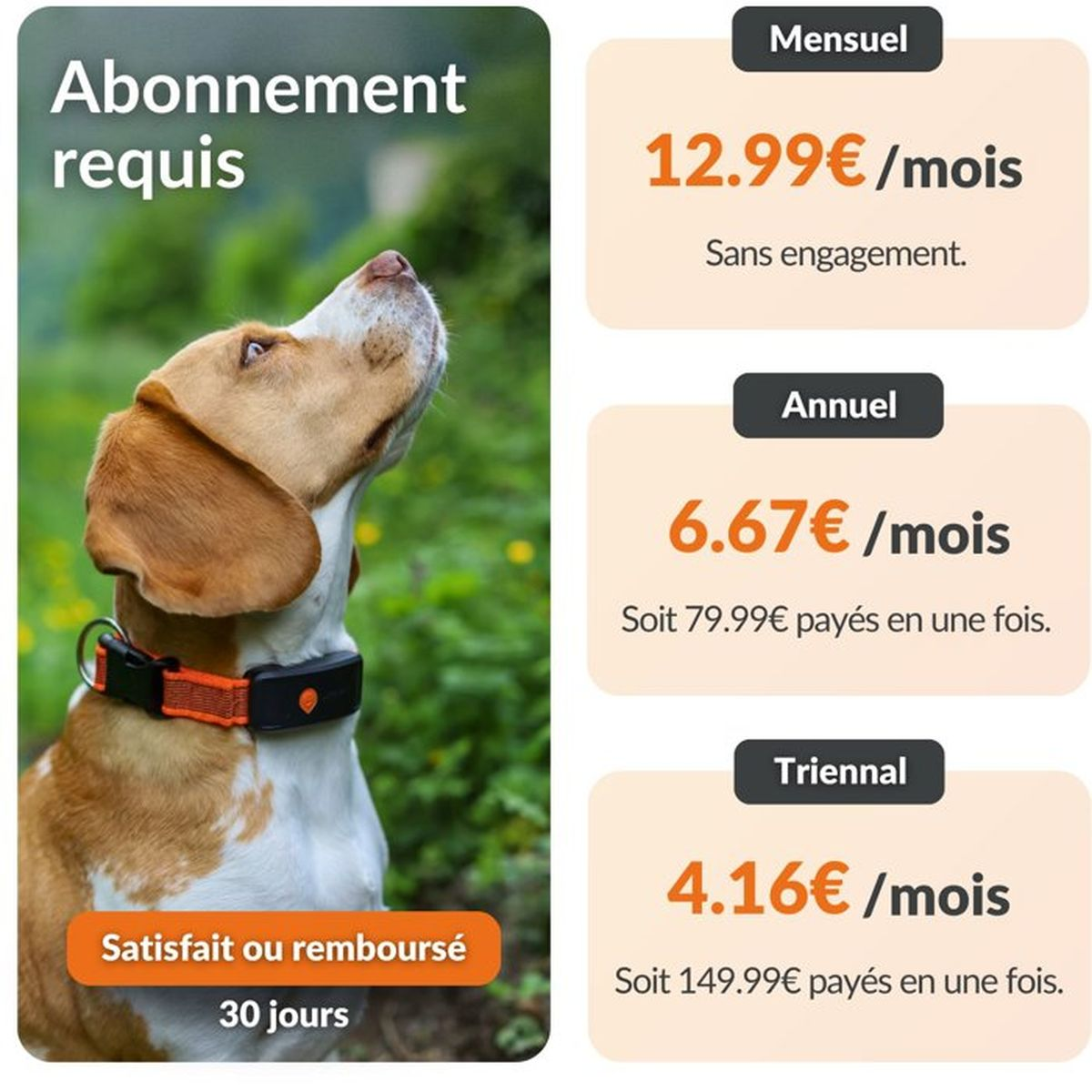 Hund mit GPS-Halsband und Preisplänen für Abonnements: monatlich, jährlich, dreijährlich.