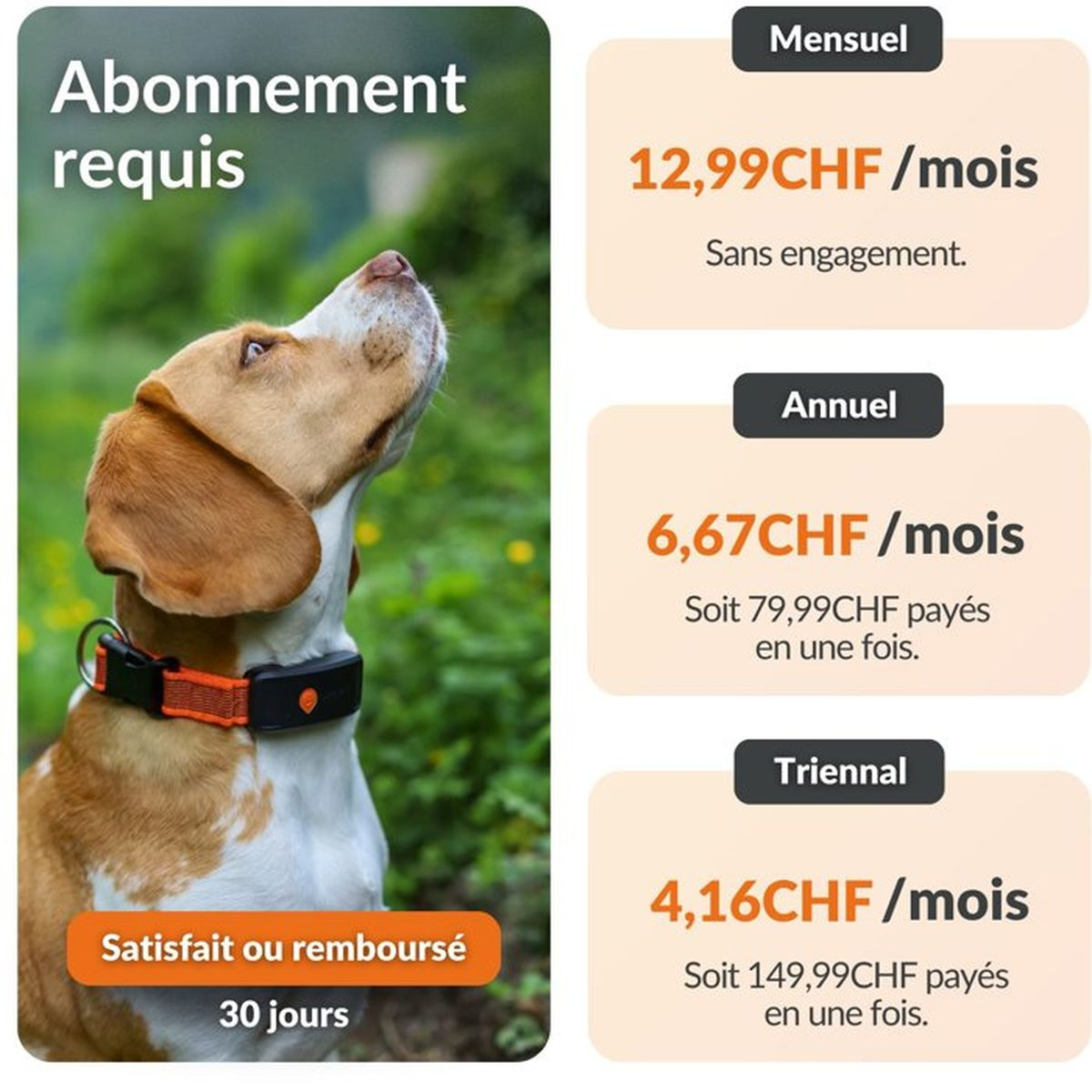 Ein Beagle mit einem orangefarbenen Halsband schaut nach oben. Preisdetails daneben.