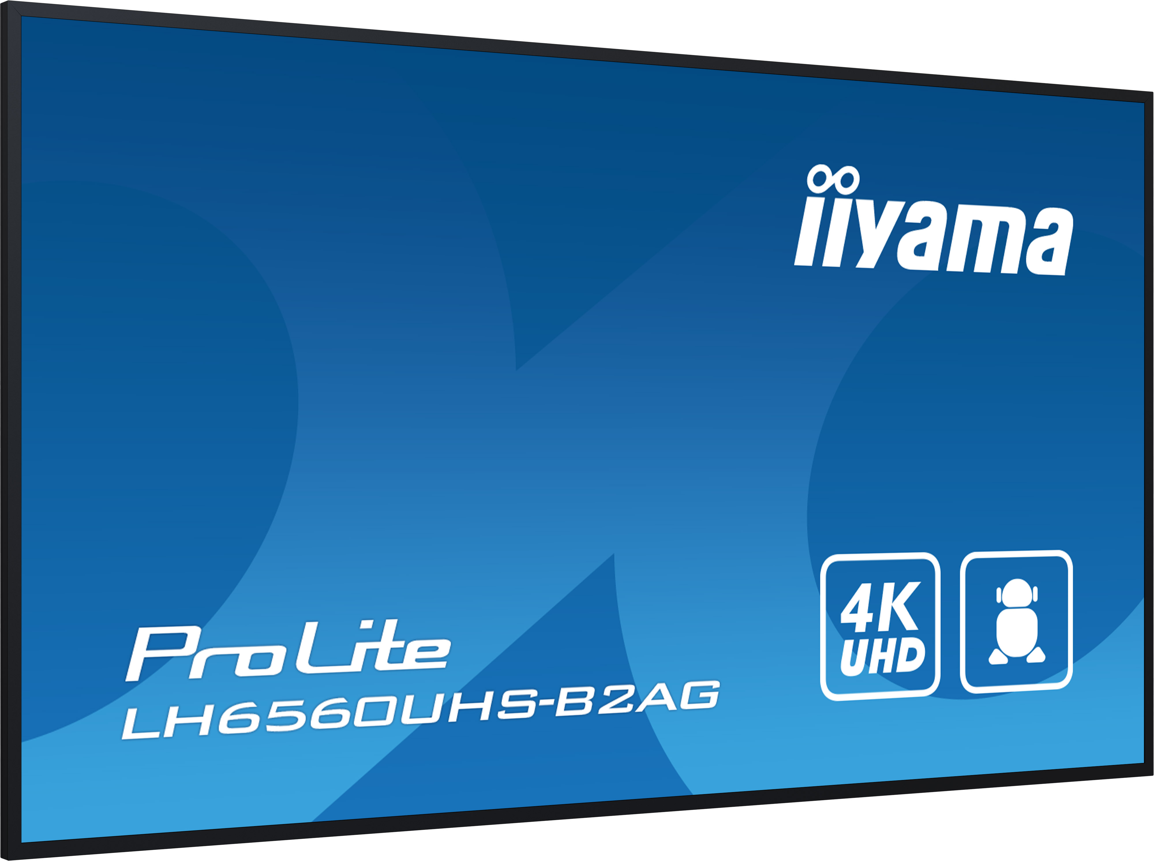 Niebieski ekran z białym tekstem: ProLite LH6560UHS-B2AG i ikona 4K UHD.
