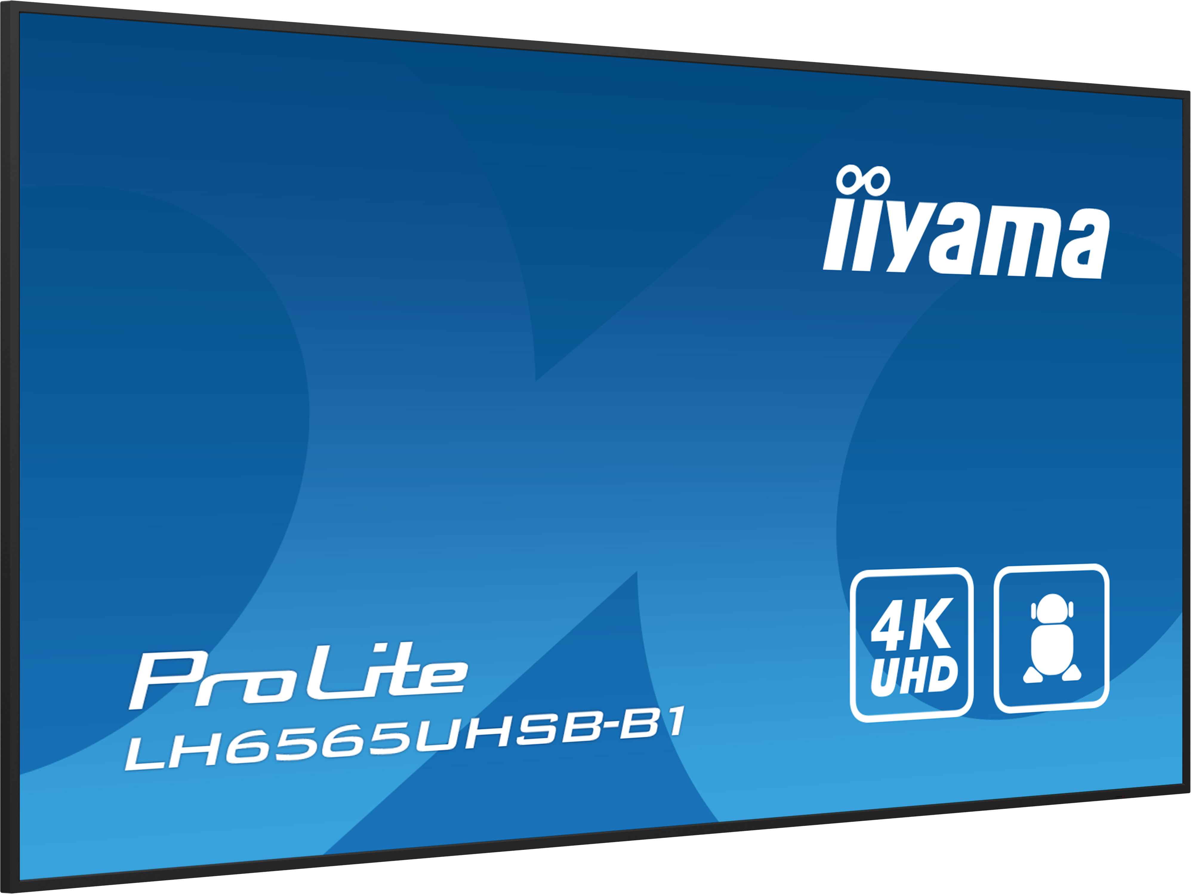 Niebieski ekran z logo Iiyama, "ProLite LH6565UHSB-B1" i ikoną 4K UHD.