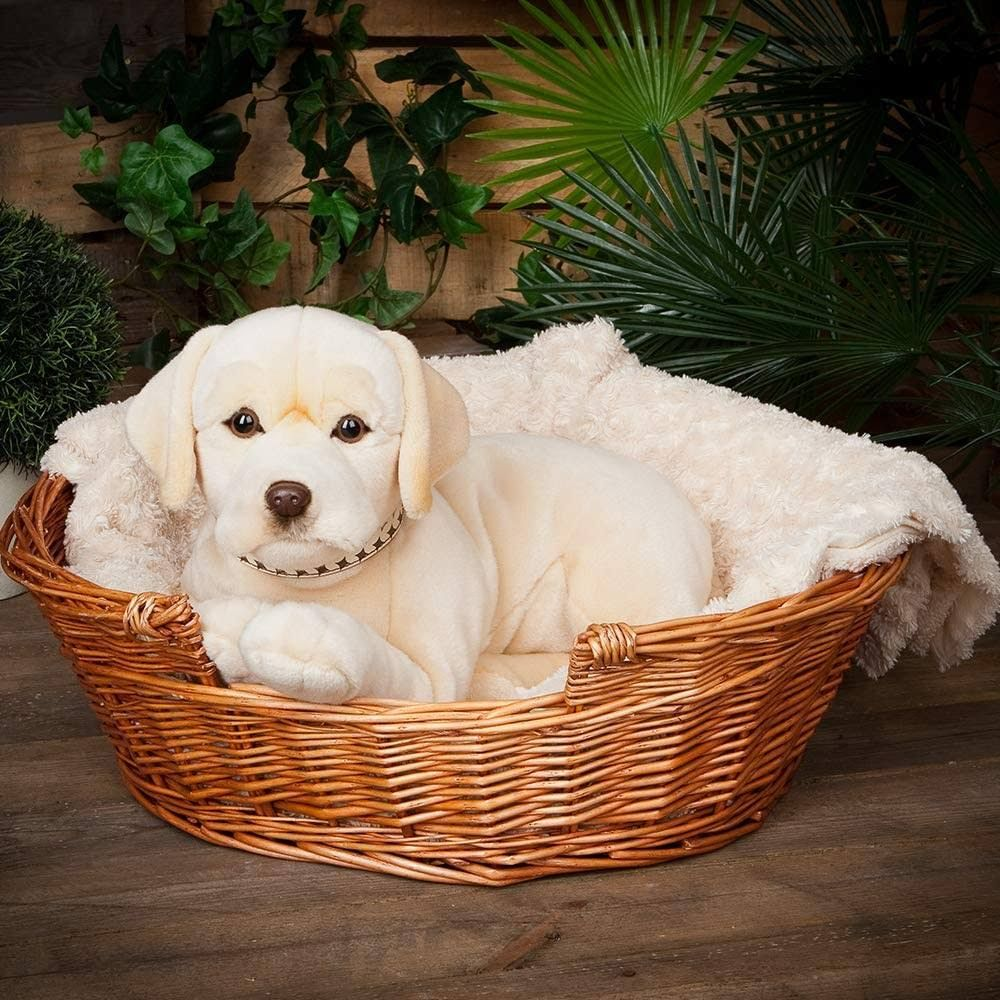 Ein cremefarbener Labrador-Welpe liegt in einem Weidenkorb auf einer weichen Decke.