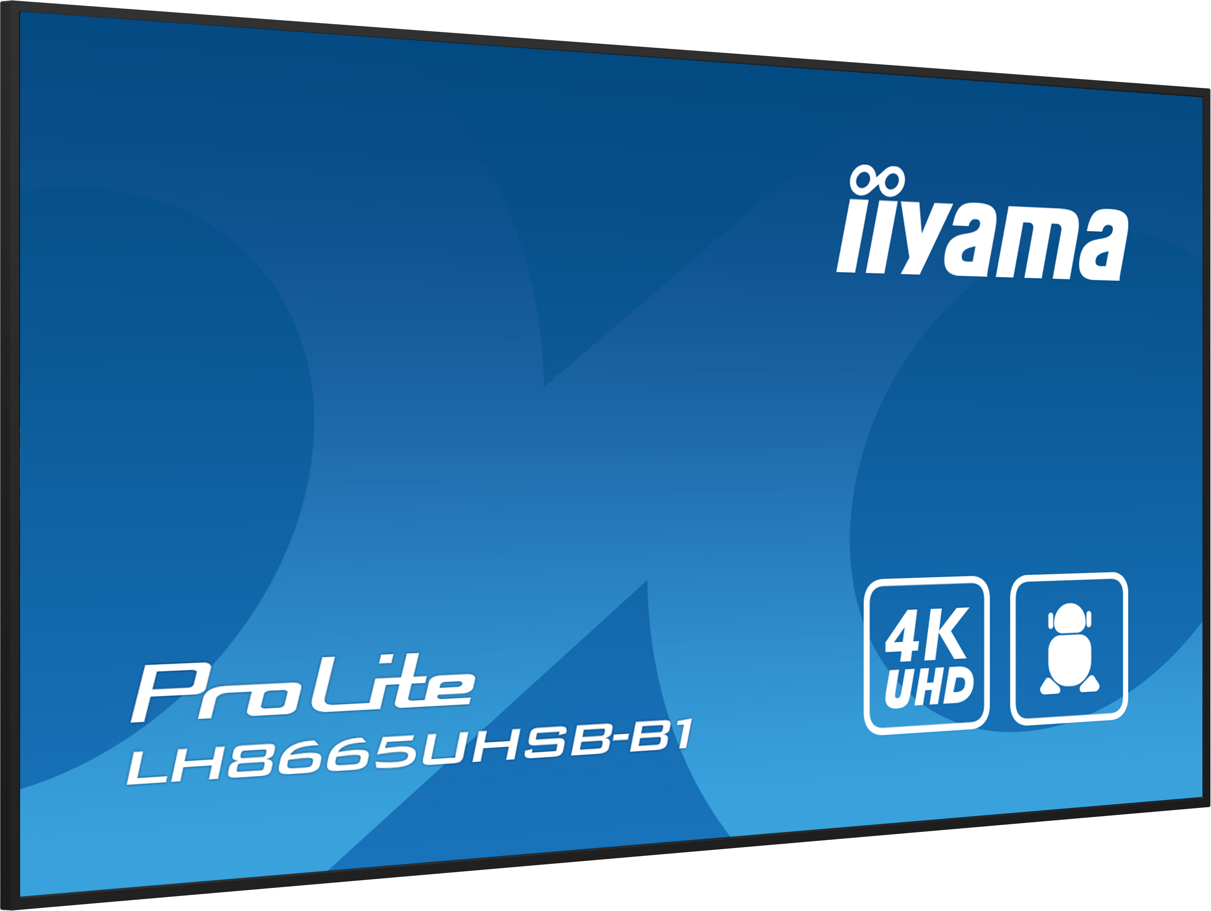 Niebieski ekran z logo Iiyama, napisem ProLite i ikoną 4K UHD.