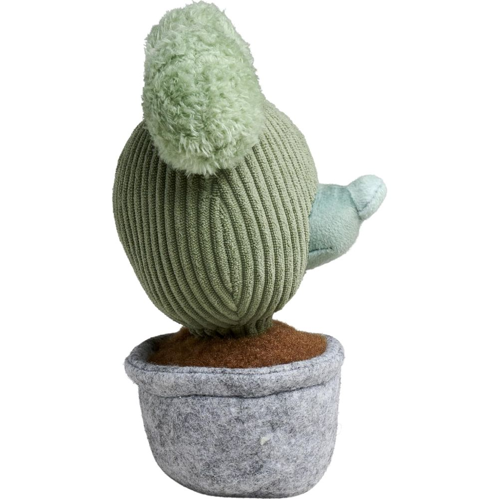 Un cactus en peluche verte dans un pot gris, avec un dessus vert clair et moelleux.