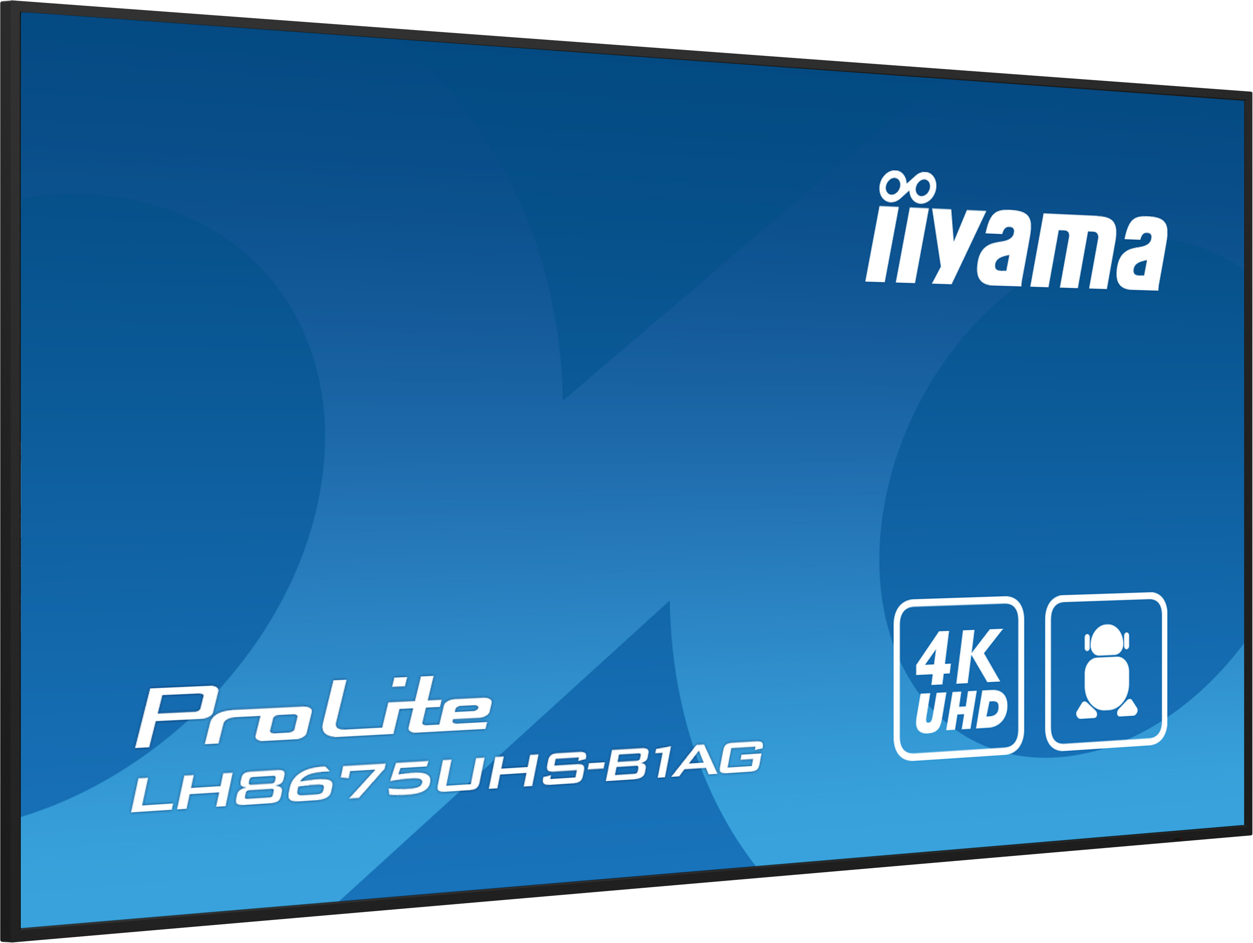 Duży niebieski ekran z logo Iiyama, ProLite LH8675UHS-B1AG, 4K UHD.