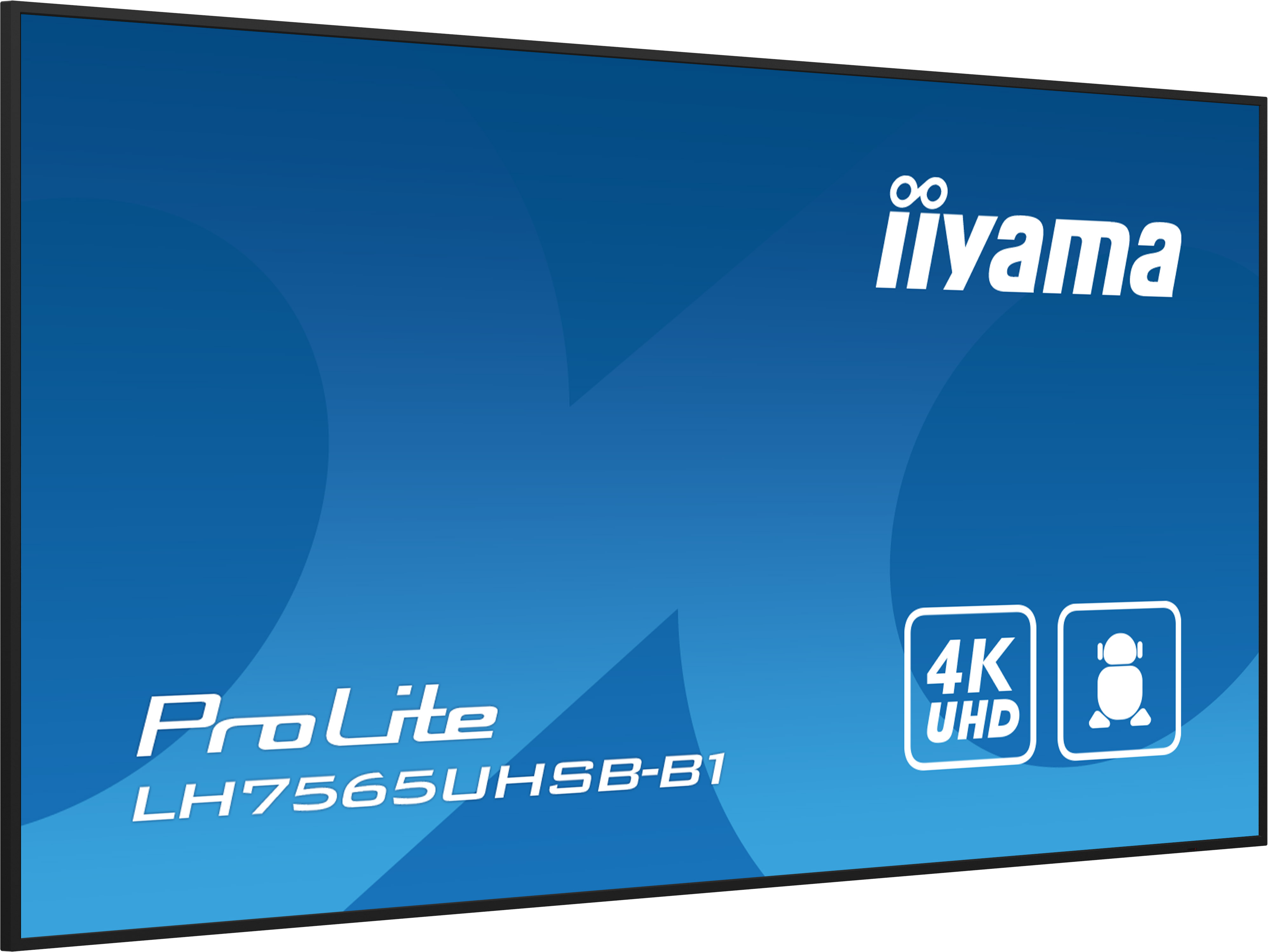 Niebieski ekran z logo iiyama, ProLite LH7565UHSB-B1 i ikonami 4K UHD.