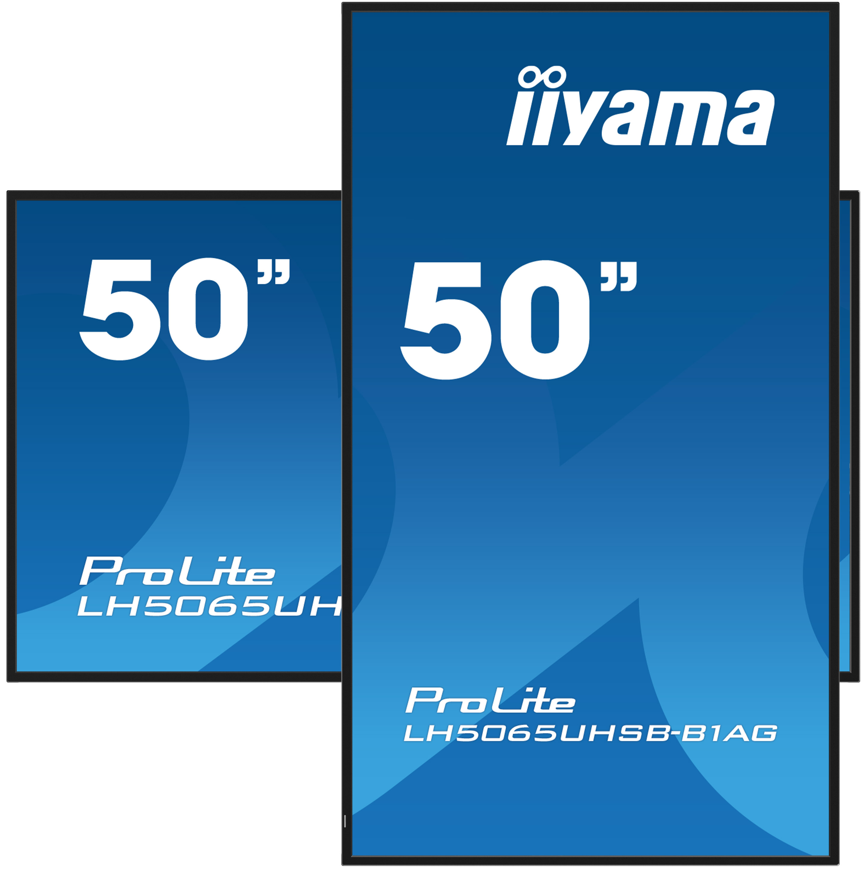 Dwa 50-calowe monitory Iiyama, jeden większy, z logo "ProLite".