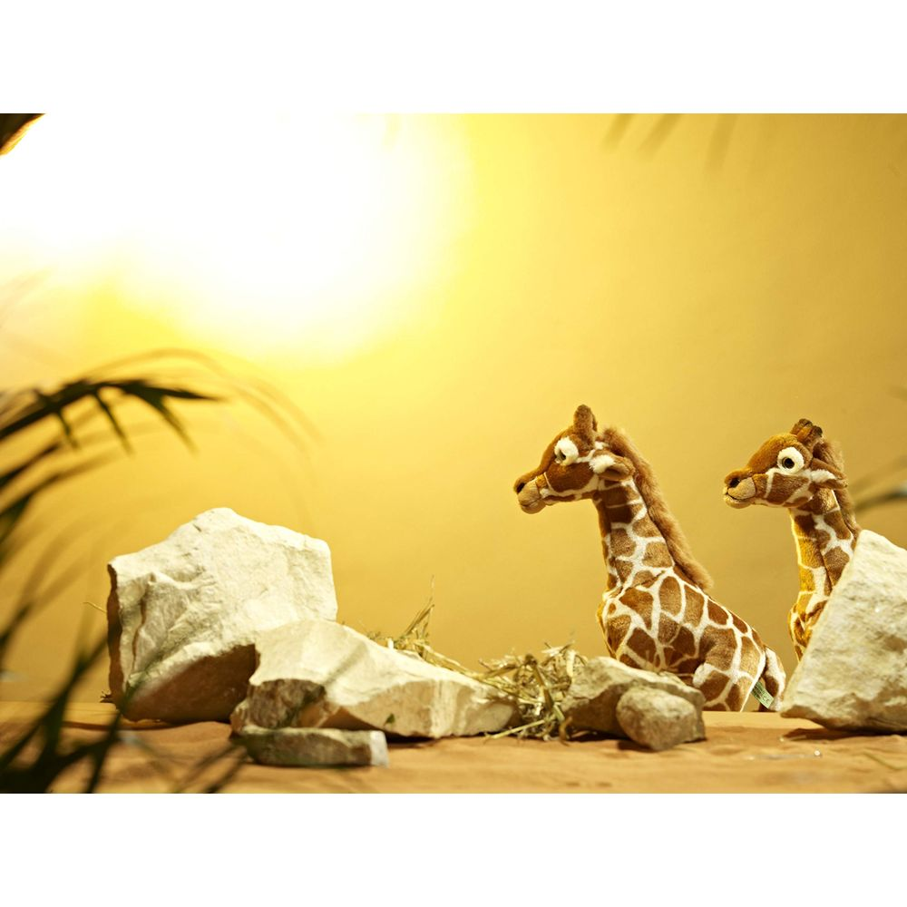 Due giraffe di peluche tra rocce e paglia, con sole e palme.