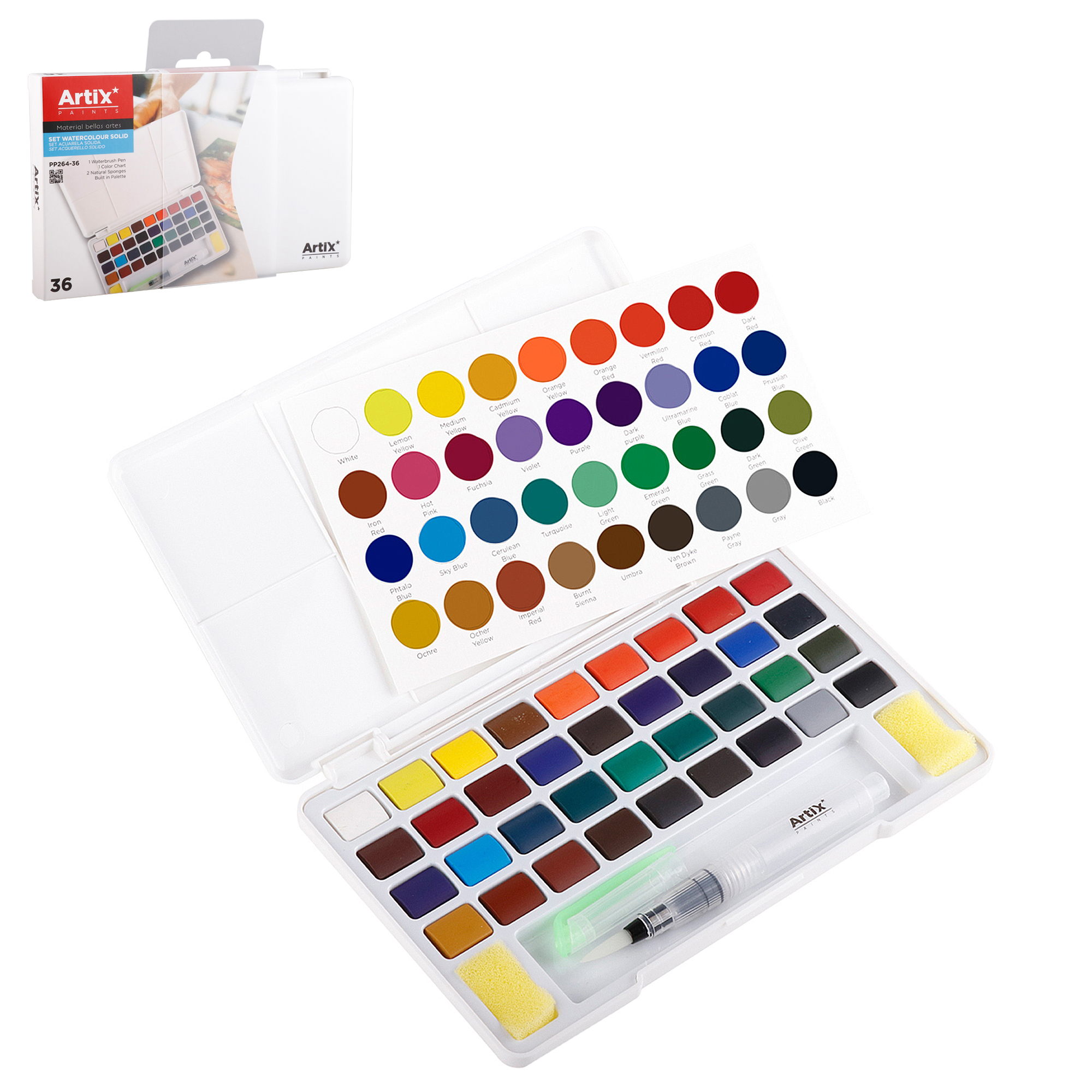 Un set di acquerelli aperto con 36 colori, cartella colori, pennello e spugna.