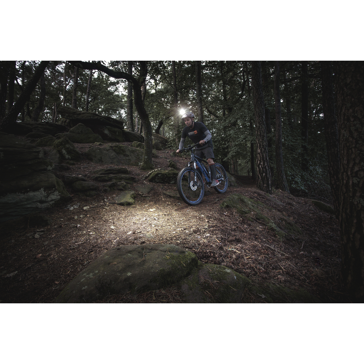 Ein Mann fährt nachts mit einem Mountainbike auf einem Waldweg, Stirnlampe beleuchtet den Weg.