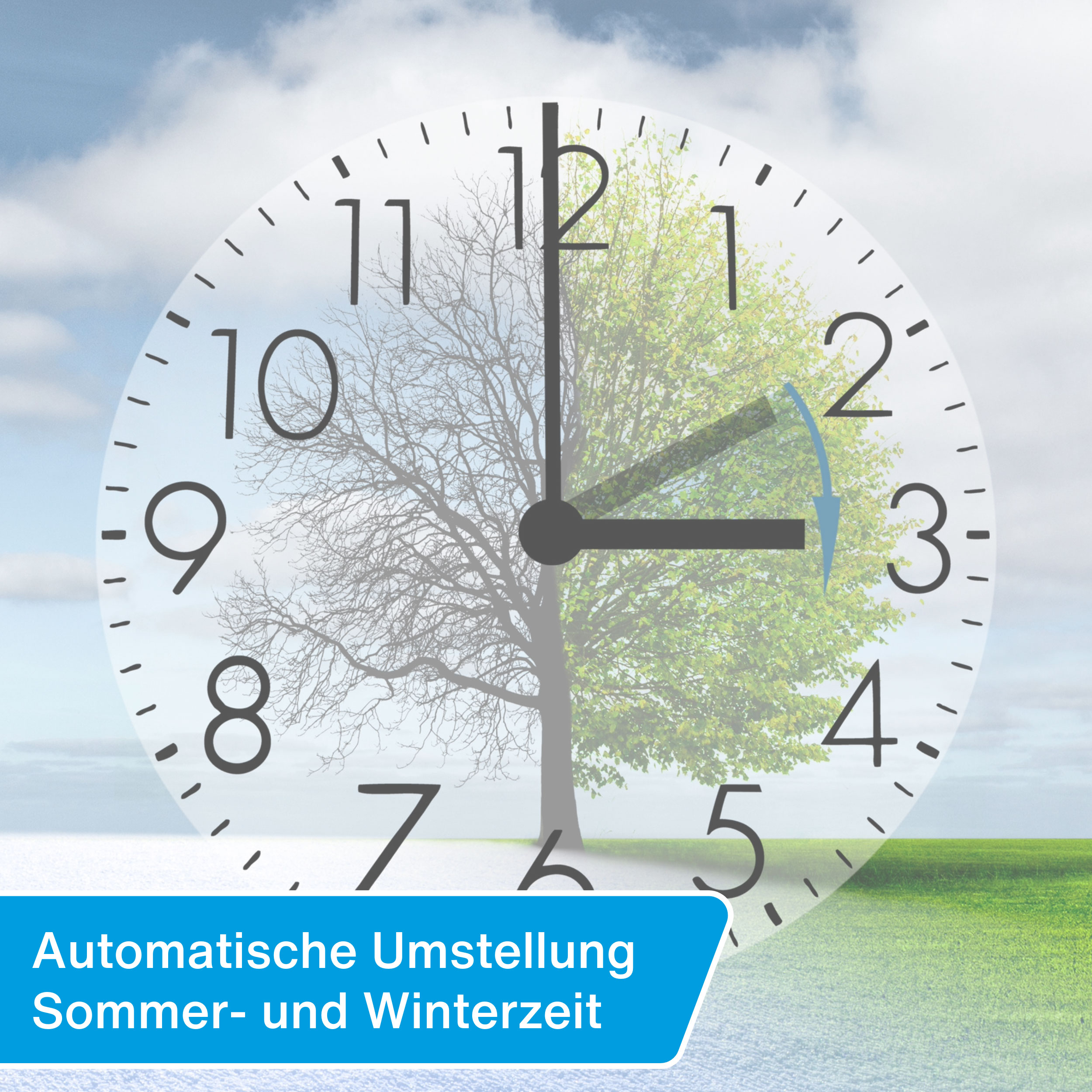 Uhr mit halb kahlem und halb belaubtem Baum, zeigt Sommer-/Winterzeitumstellung.