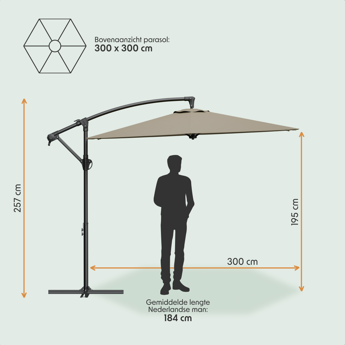 Een grote parasol (300x300cm) getoond met een man (184cm) voor schaal.