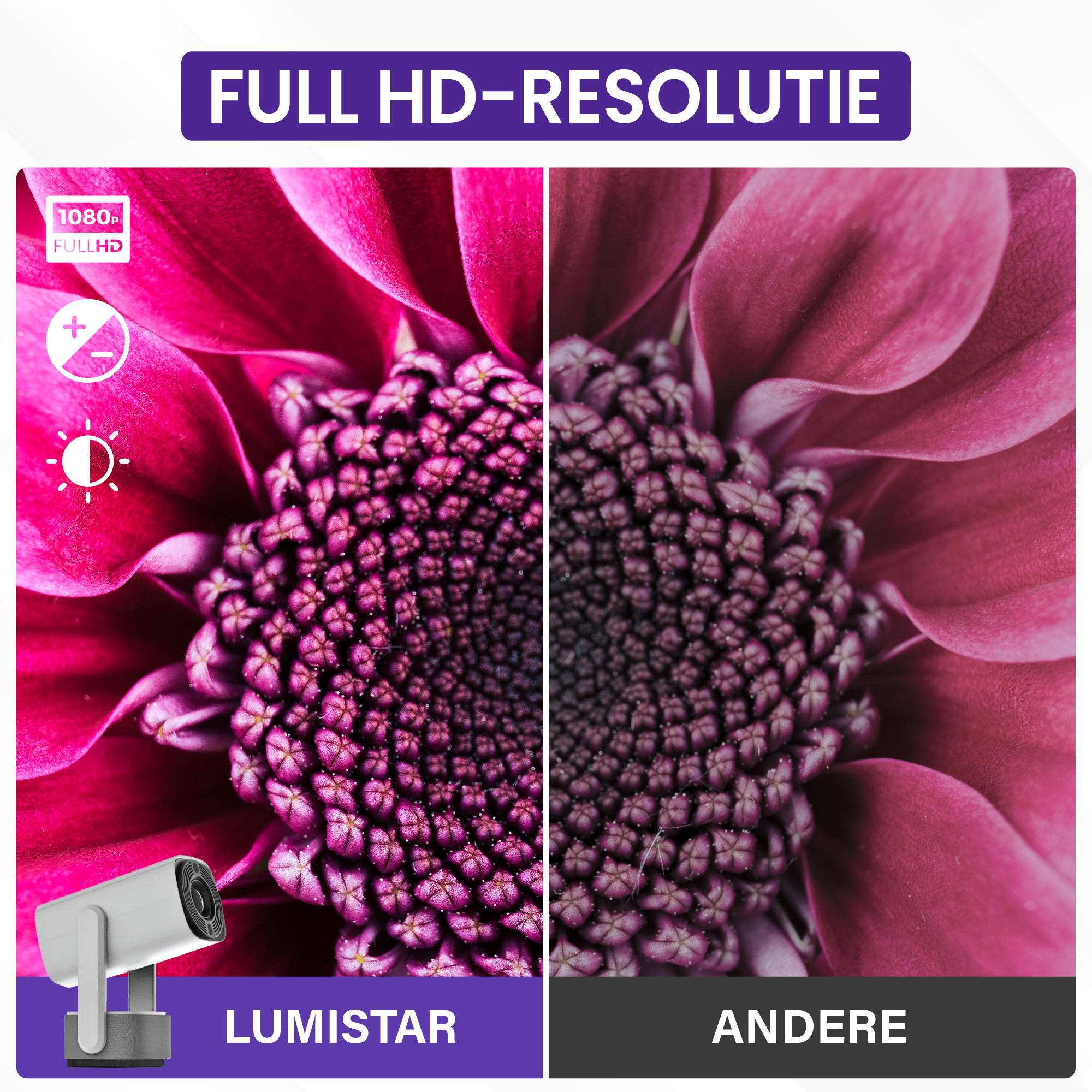 Two close-ups of a pink flower. Left side shows camera icon & 1080p FULL HD.