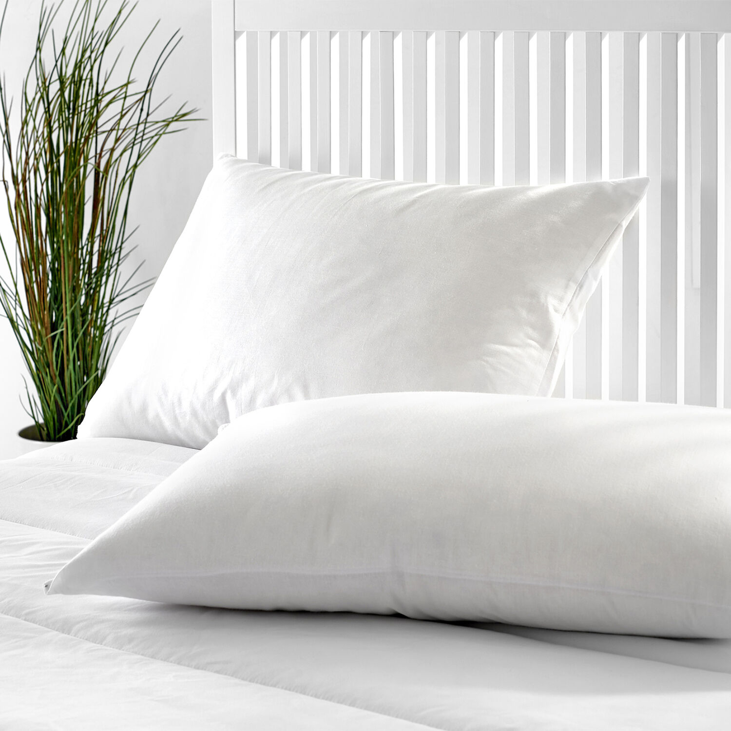 Dos almohadas blancas sobre una cama con cabecero blanco y planta verde.
