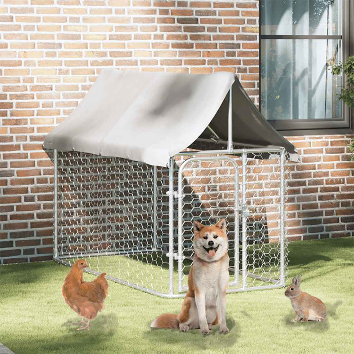 Ein Hund sitzt vor einem Hühnerstall mit Huhn und Kaninchen auf dem Rasen.