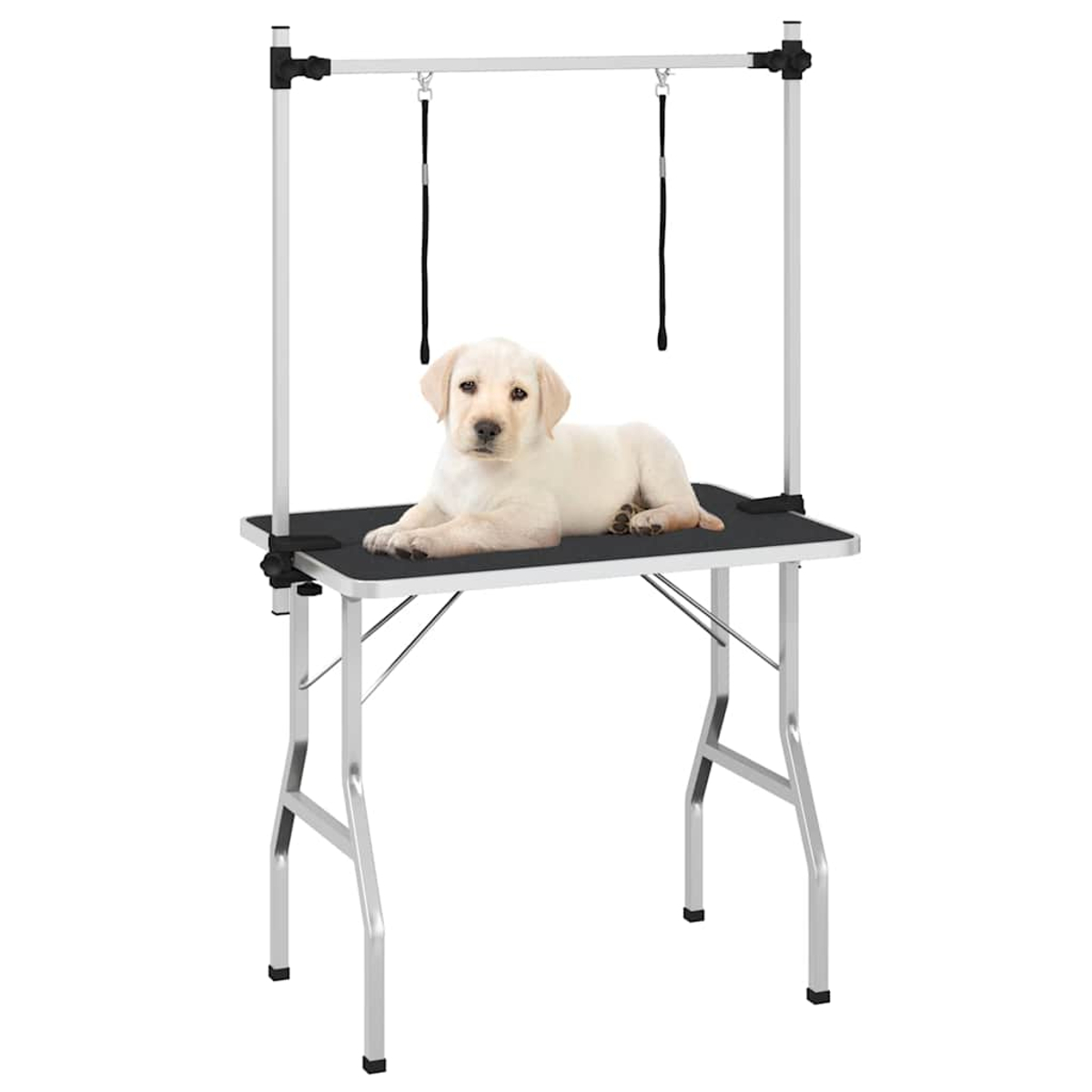 Ein Labradorwelpe liegt auf einem schwarzen Pflegetisch mit silbernem Metallrahmen.
