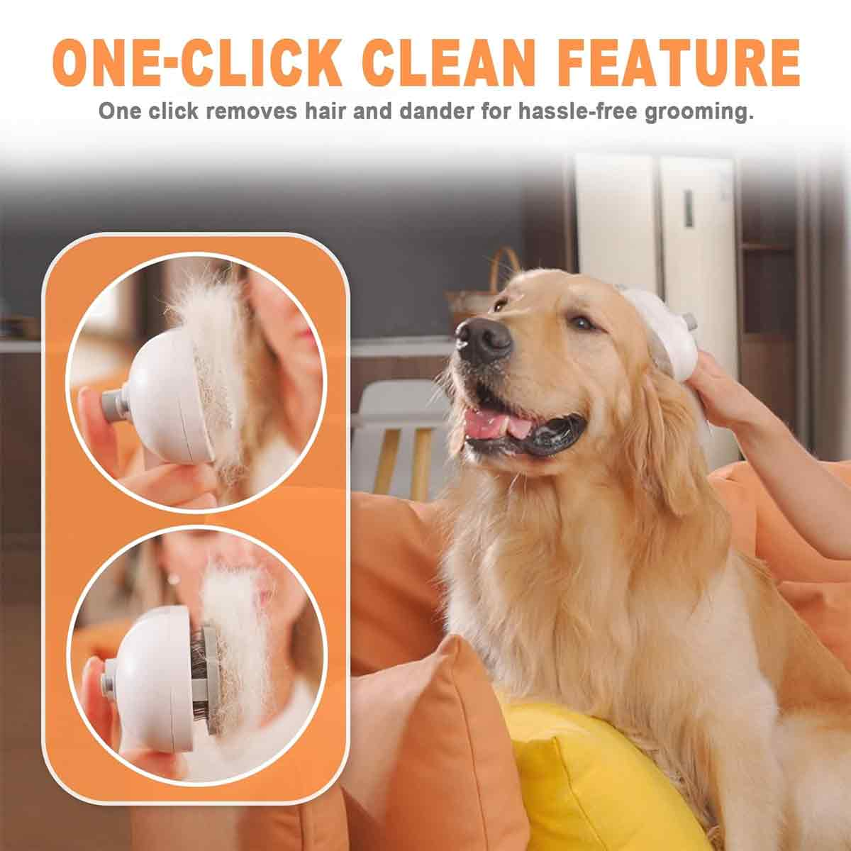 Ein Golden Retriever wird mit einem Klick-Reinigungskamm gebürstet.