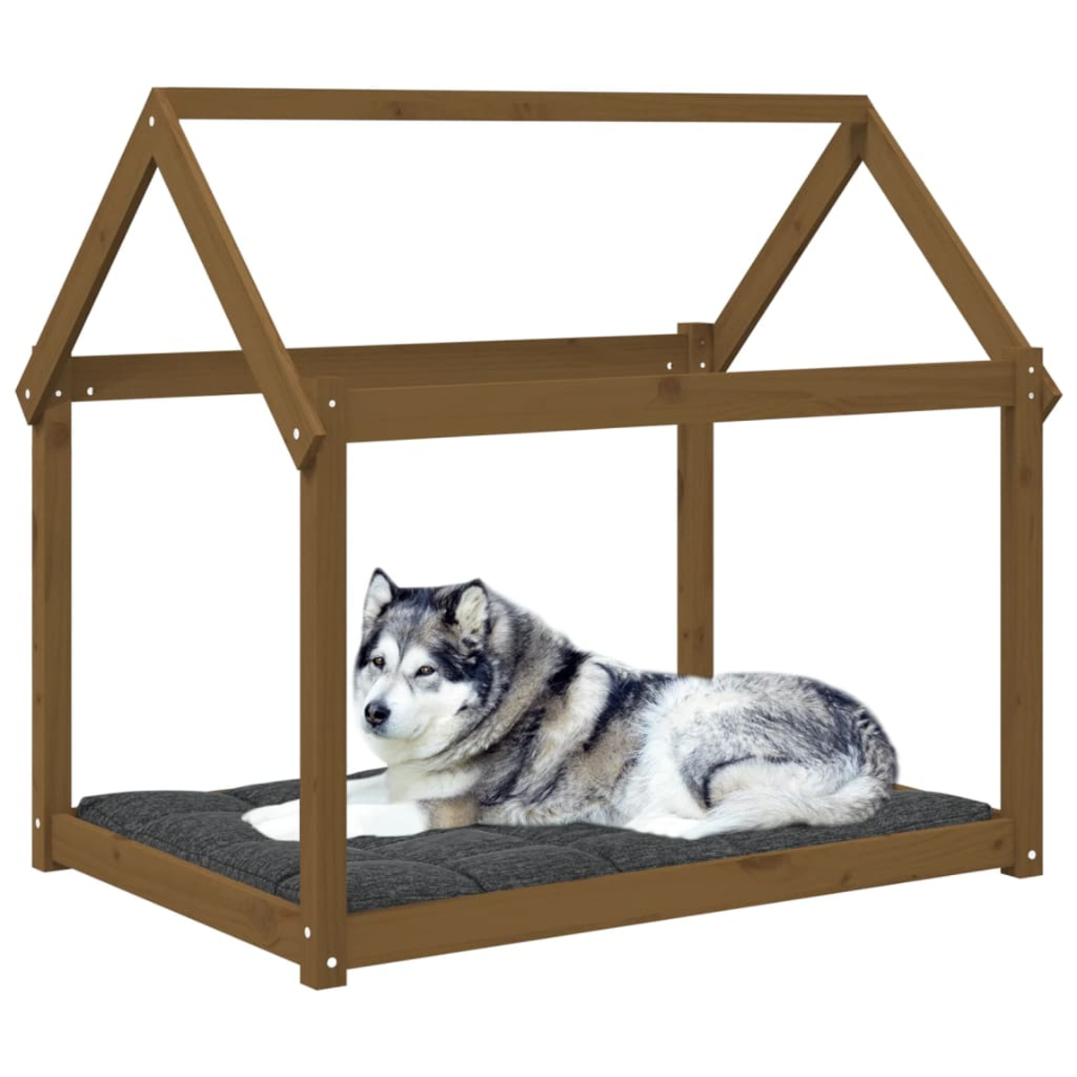 Ein Husky liegt auf einem dunklen Kissen in einem Holzhaus.