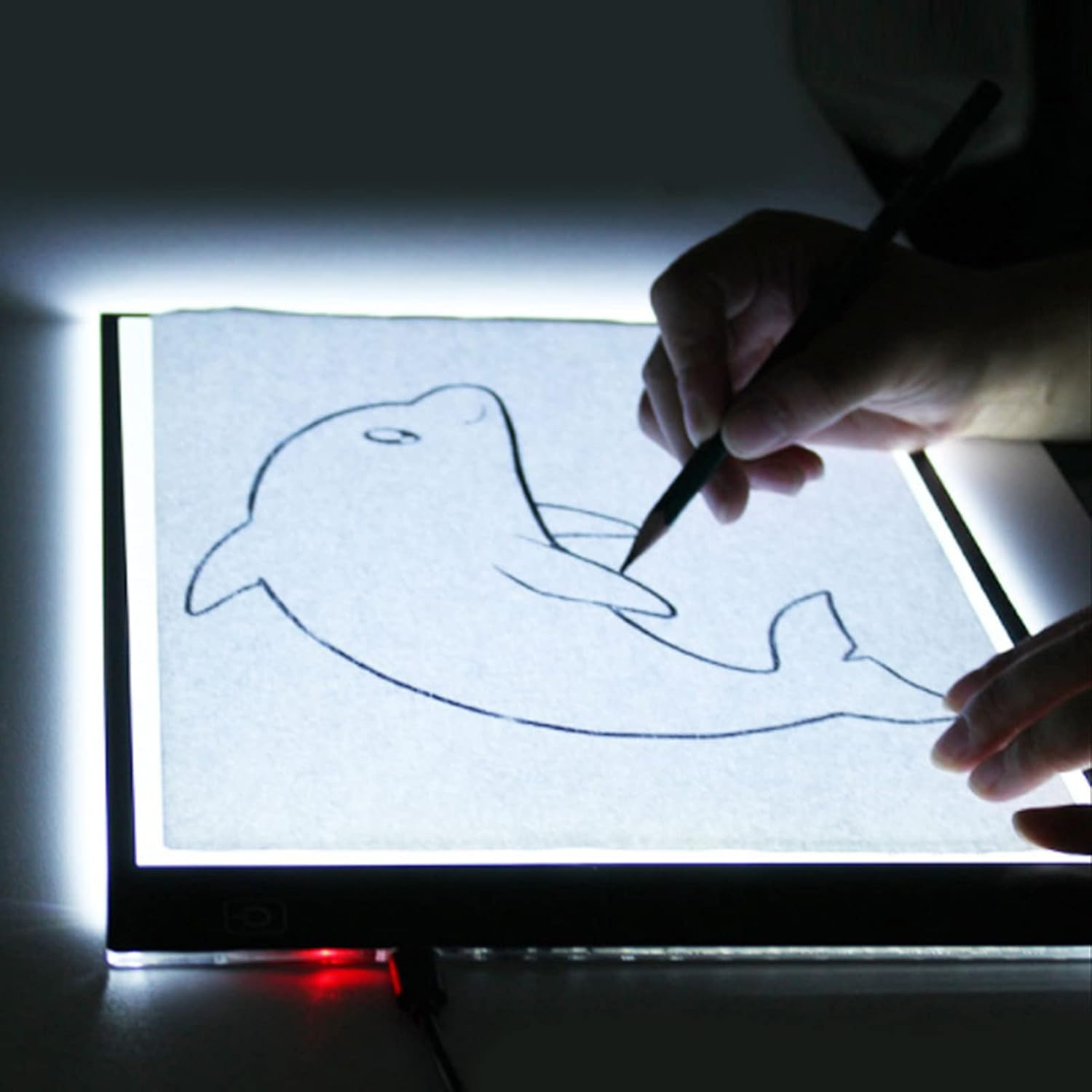 Person zeichnet Delfin auf beleuchteter Zeichenplatte mit Bleistift.