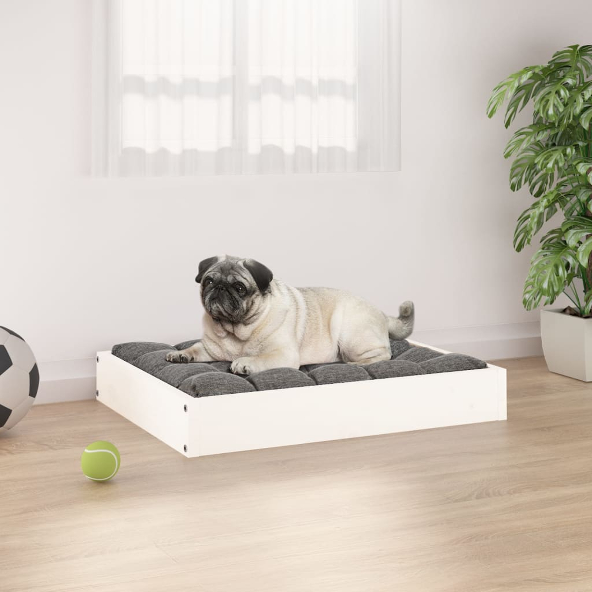 Ein Mops liegt auf einem Hundebett mit grauer Polsterung und weißem Rahmen.