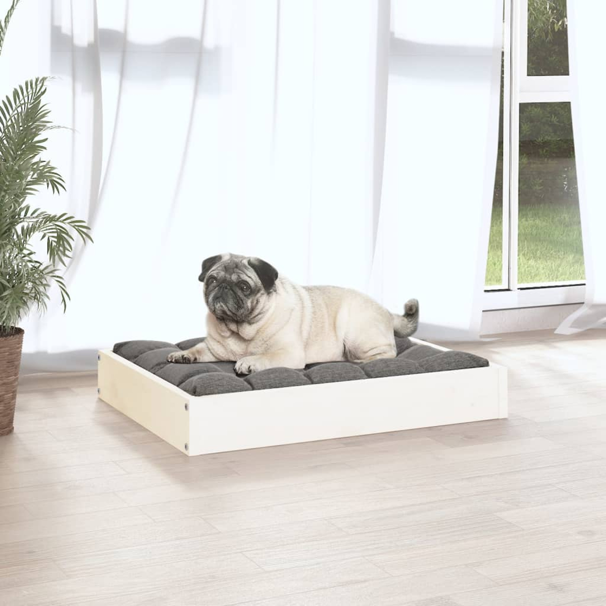 Ein Mops liegt auf einem grauen Kissen auf einem Holzbett, neben einem Fenster.