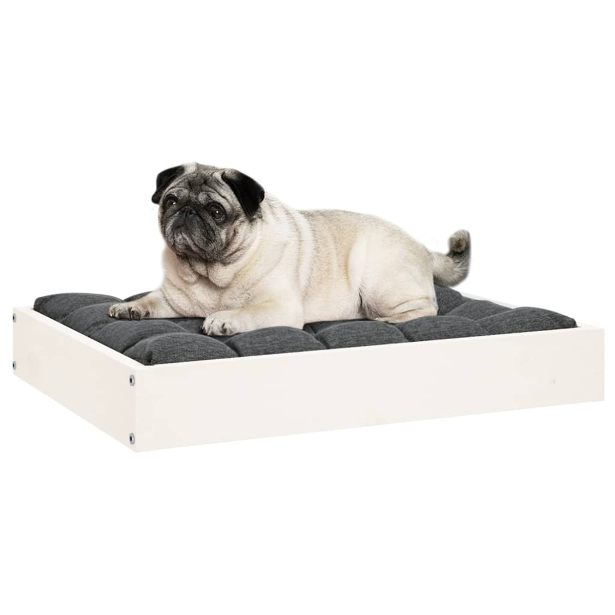 Ein Mops liegt auf einem gepolsterten Hundebett mit weißem Holzrahmen.