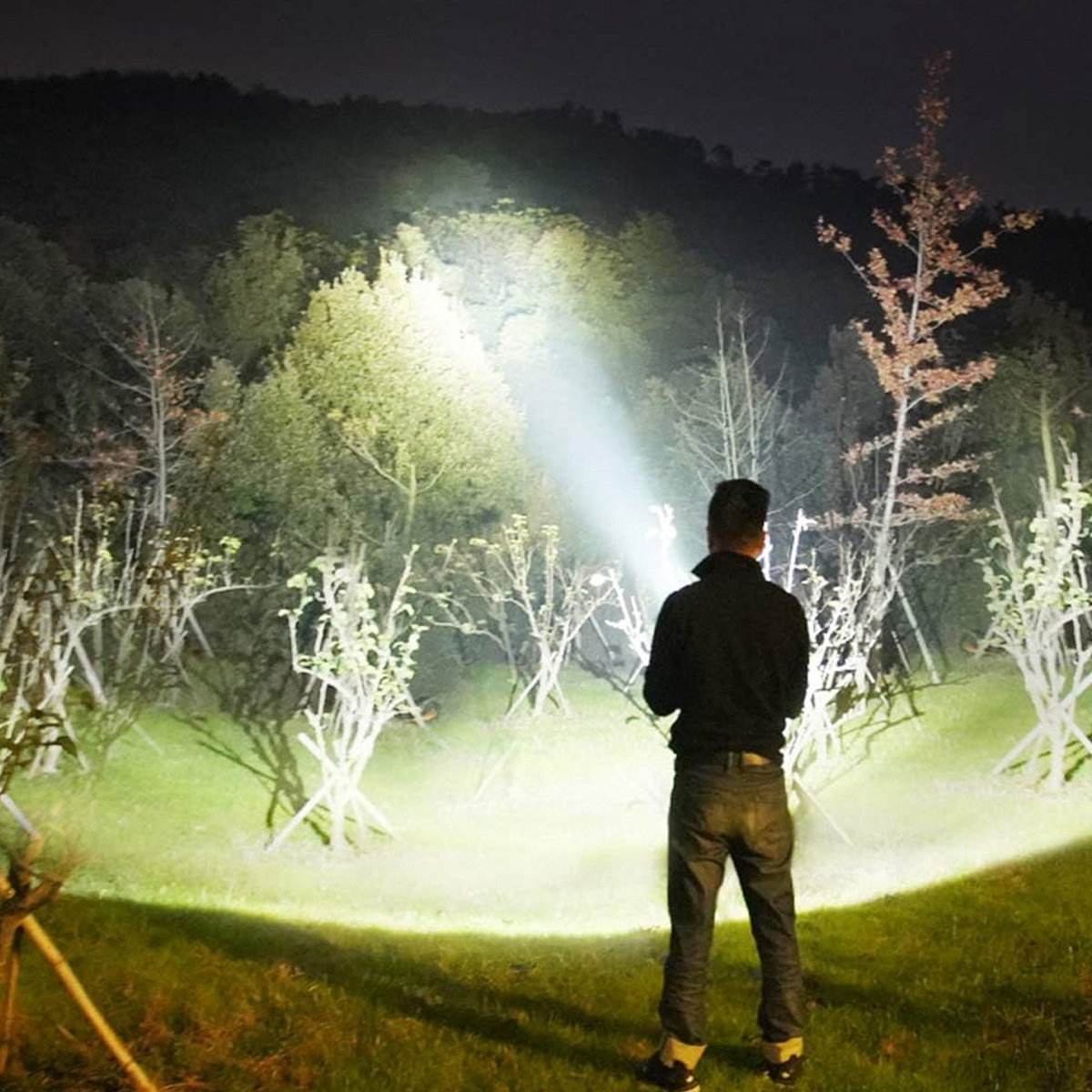 Mann mit Taschenlampe beleuchtet nachts Bäume und Landschaft.
