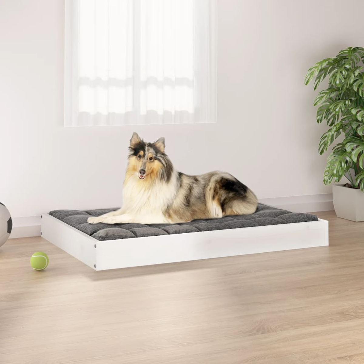 Ein Collie liegt auf einem grauen Hundebett mit weißem Rahmen.