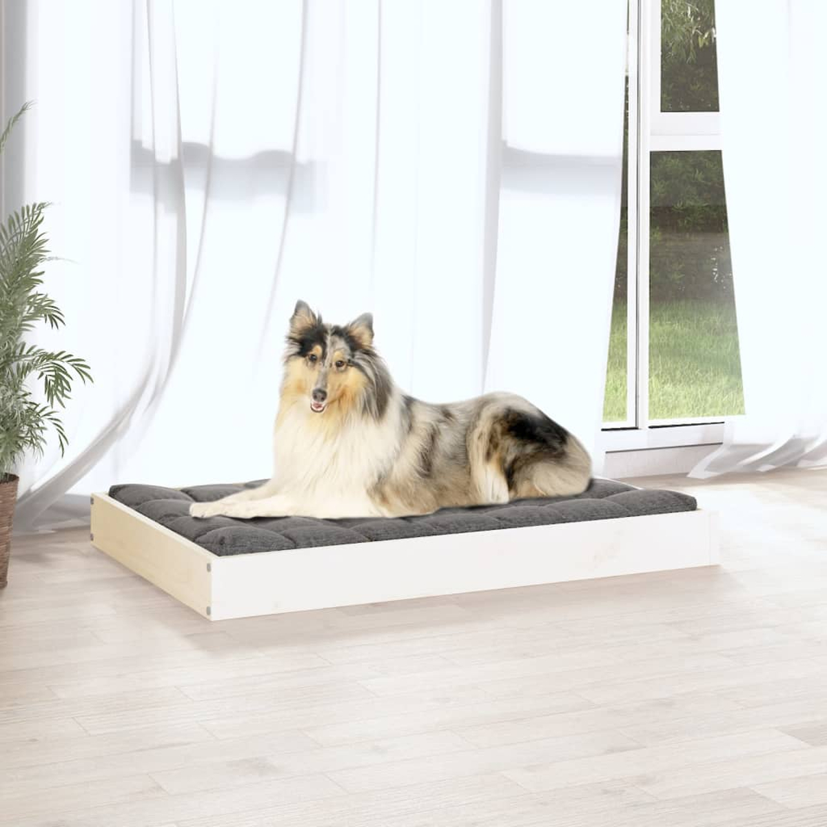 Ein Collie liegt auf einem grauen Hundebett vor einem Fenster mit weißen Vorhängen.