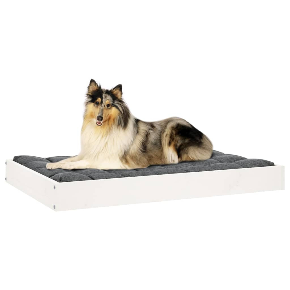 Ein Collie-Hund liegt auf einem grauen Hundebett mit weißem Rahmen.