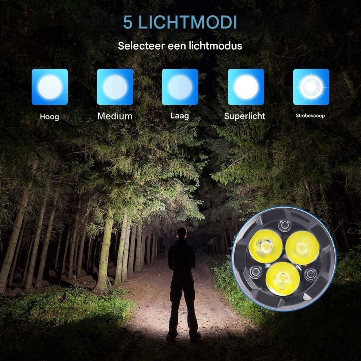 Silhouette einer Person steht auf einem Waldweg, beleuchtet von einer Taschenlampe.
