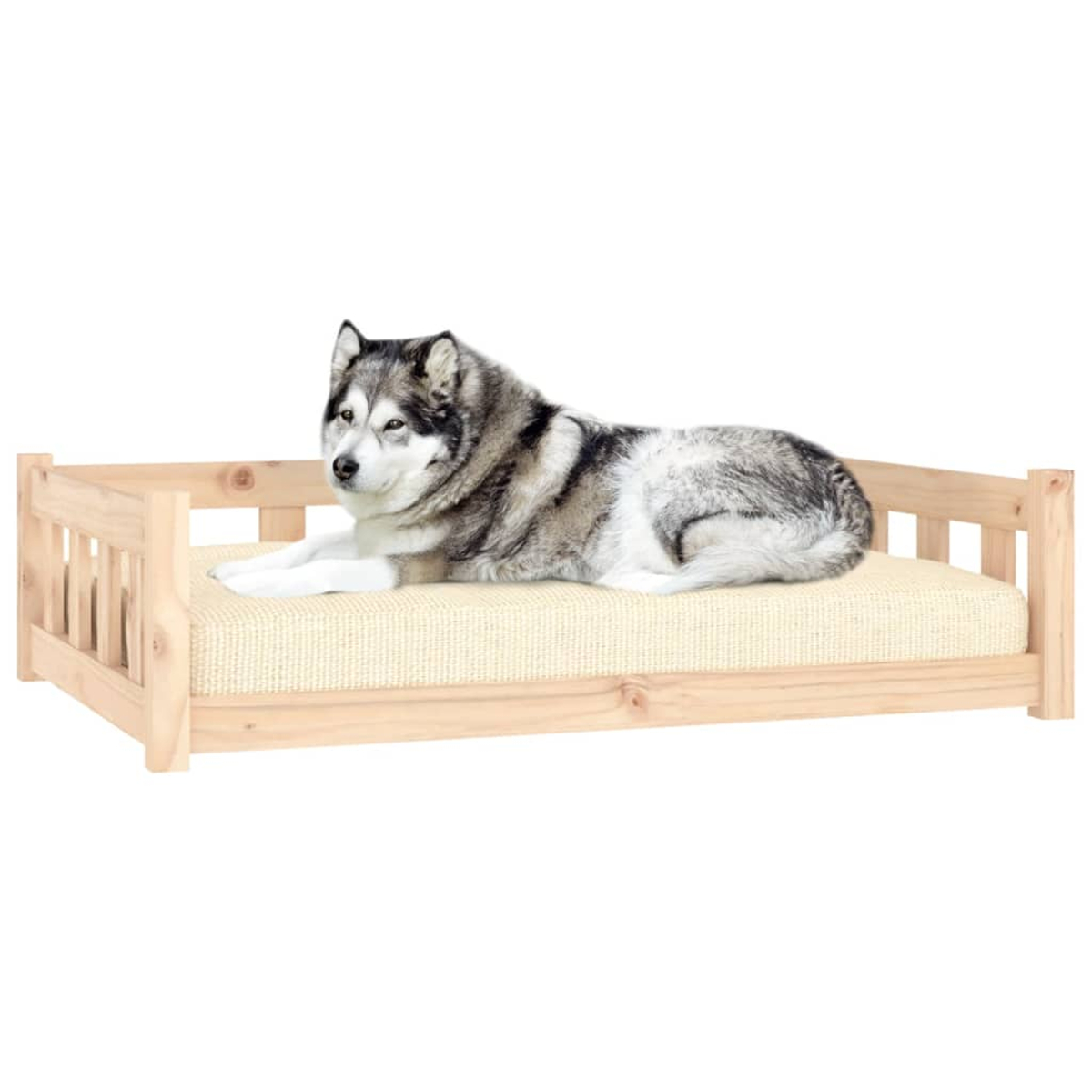 Ein Husky liegt auf einem hellen Hundebett aus Holz mit weißem Hintergrund.