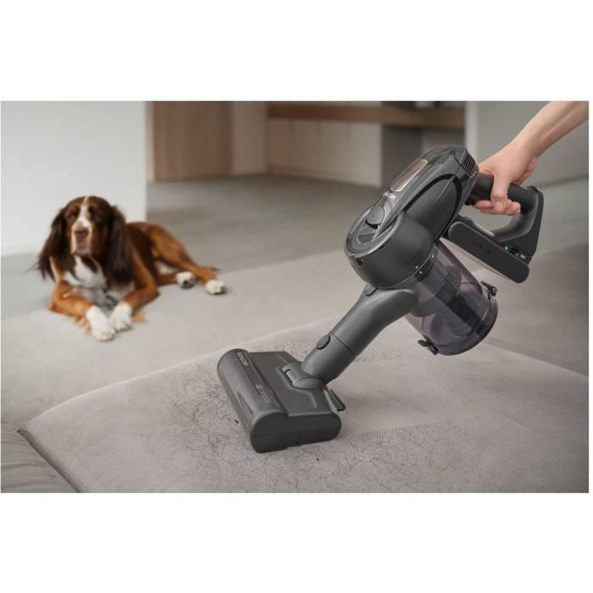 Eine Hand hält einen Staubsauger und reinigt ein Sofa, während ein Hund in der Nähe liegt.