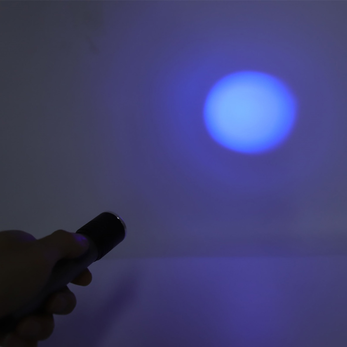 Eine Hand hält eine graue Taschenlampe, die blaues Licht auf eine Wand projiziert.