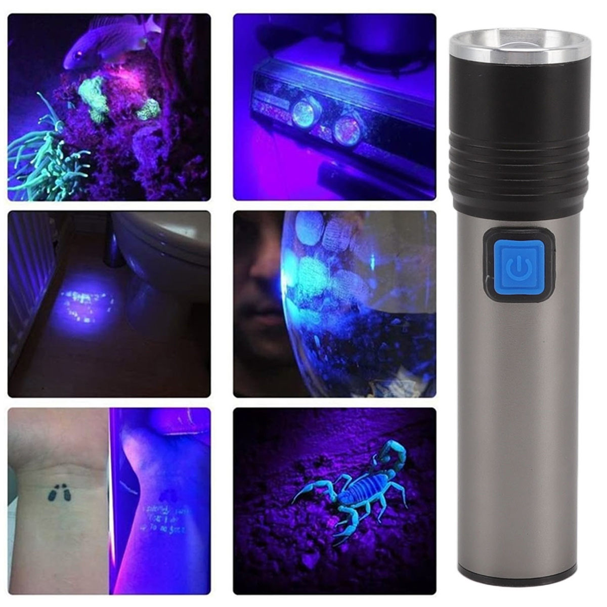 UV-Taschenlampe zeigt verschiedene fluoreszierende Objekte: Fisch, Elektronik, Fingerabdrücke, Skorpion, Tattoo.