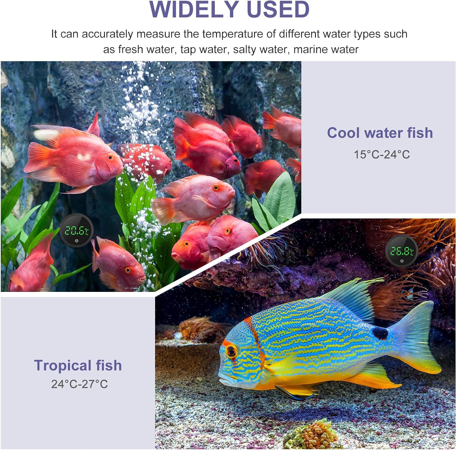 Aquarium mit roten Fischen oben und einem bunten Fisch unten. Thermometeranzeigen sichtbar.
