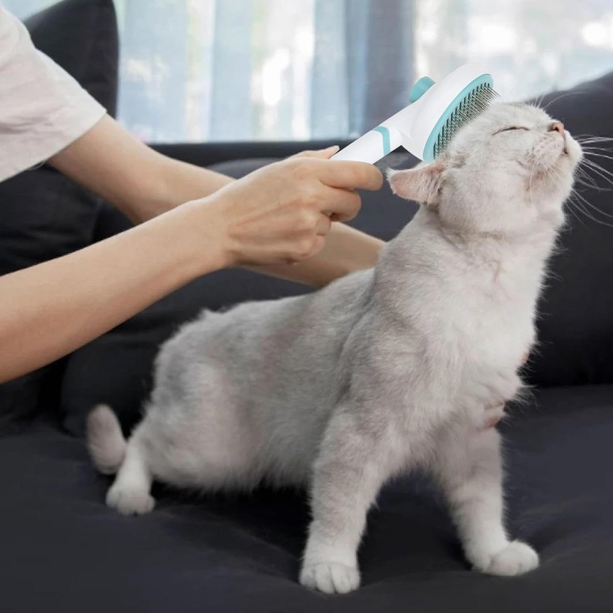 Eine Person bürstet eine graue Katze mit einem Kamm, während sie auf einem Sofa sitzt.