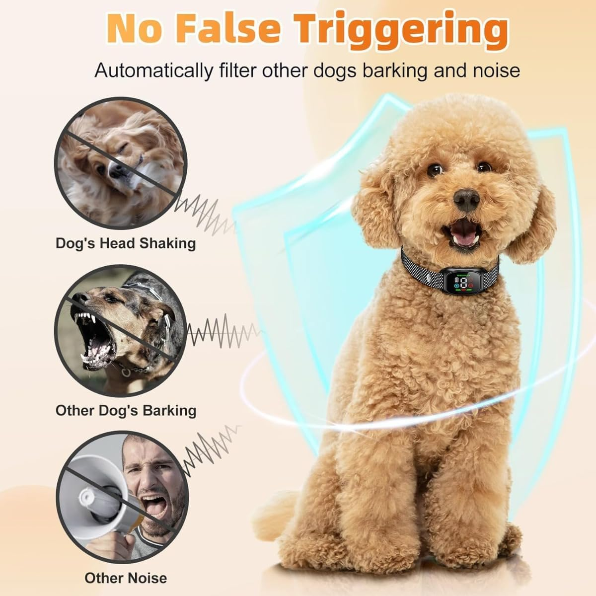Ein Hund trägt einen Kragen, daneben sind drei Bilder von Hunden und einem Mann mit Megafon.