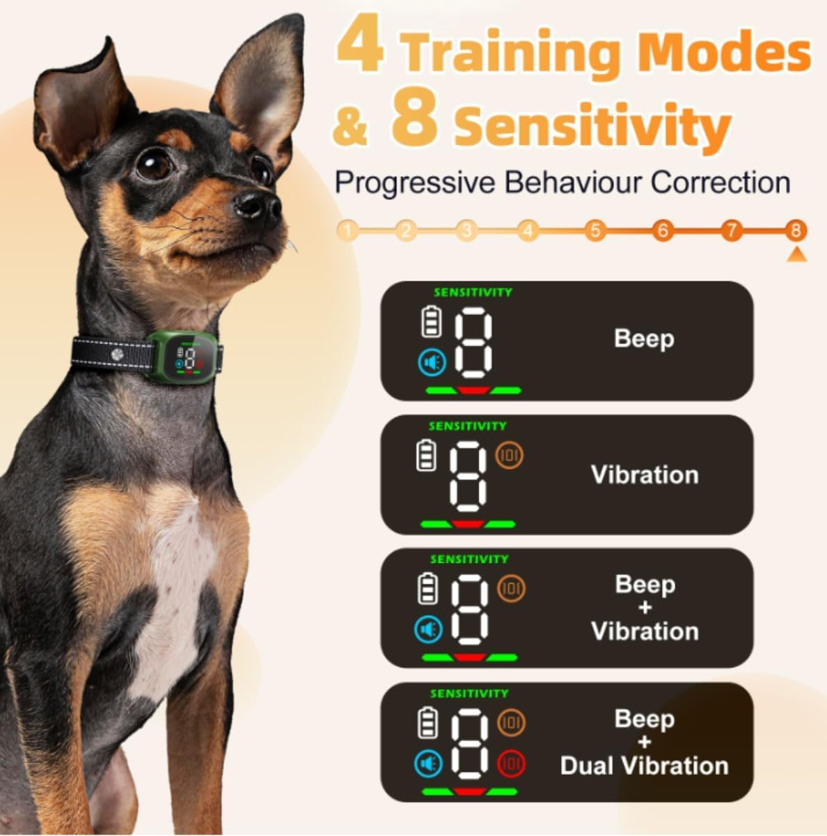 Kleiner Hund mit Trainingshalsband, das 4 Modi und 8 Empfindlichkeitsstufen zeigt.