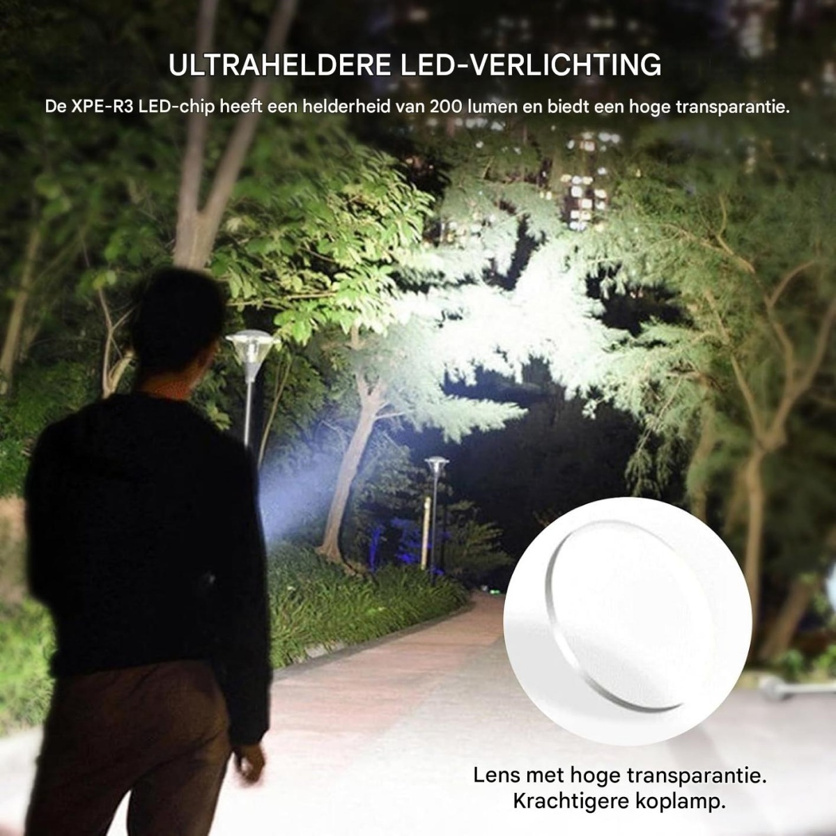 Mann leuchtet mit Taschenlampe auf Bäume, Nahaufnahme einer Linse.