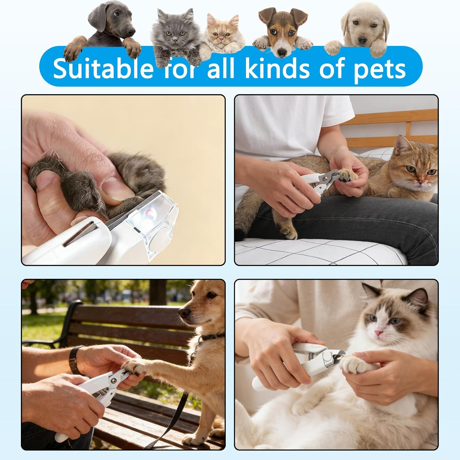 Hunde und Katzen werden die Krallen geschnitten. Geeignet für alle Haustiere.