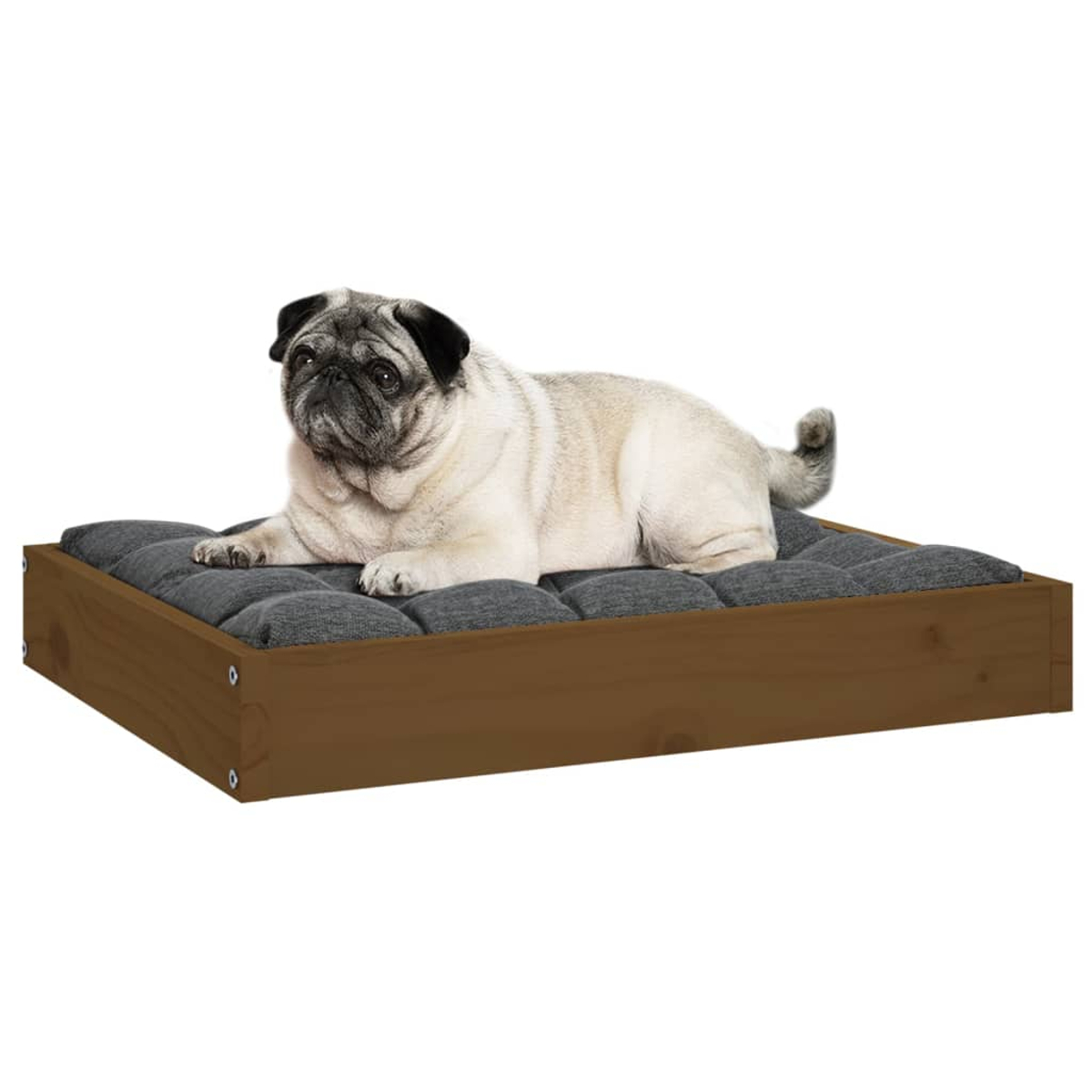 Ein heller Mops liegt auf einem braunen Holzbett mit dunklem Kissen.