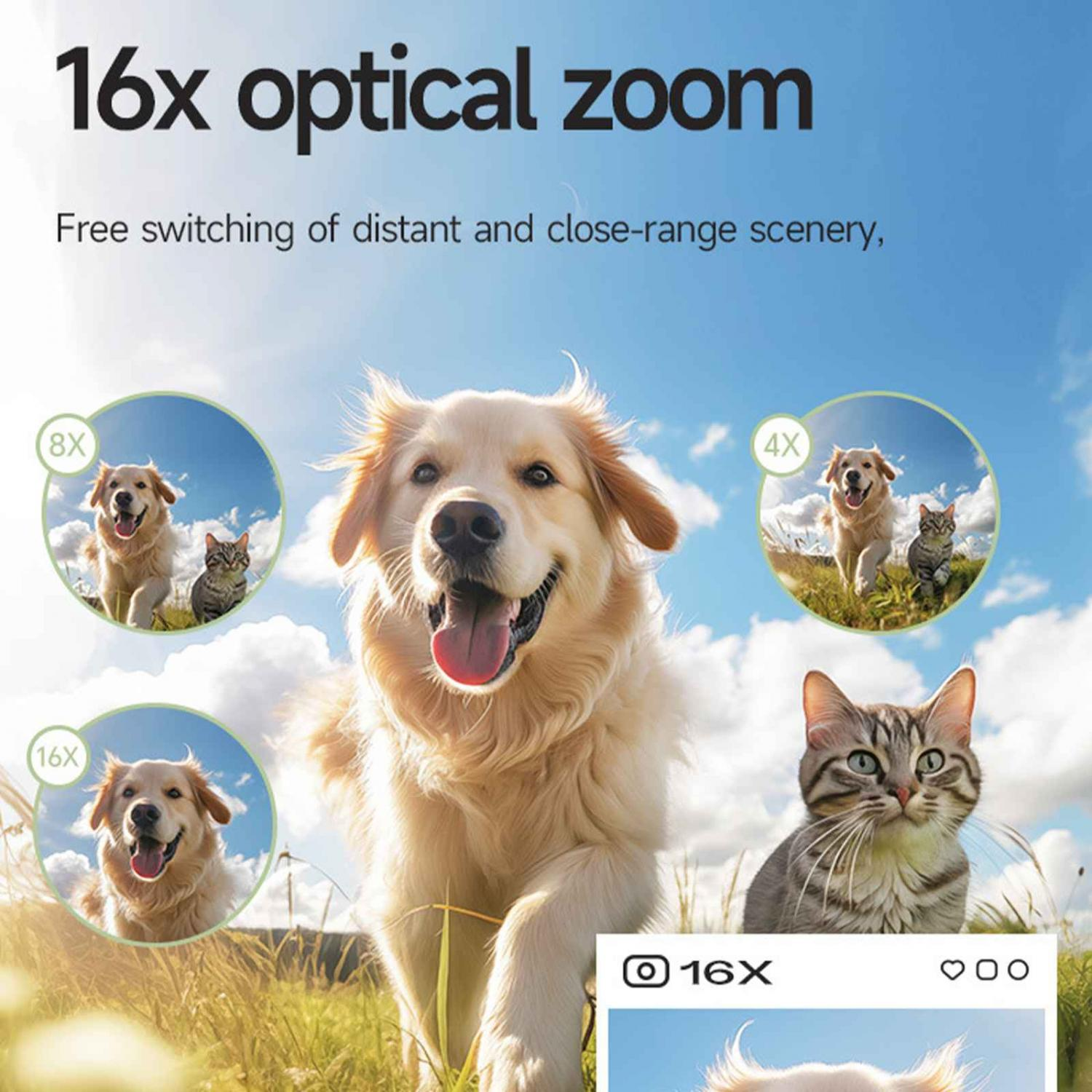 Ein Golden Retriever und eine Katze werden mit verschiedenen Zoomstufen gezeigt.
