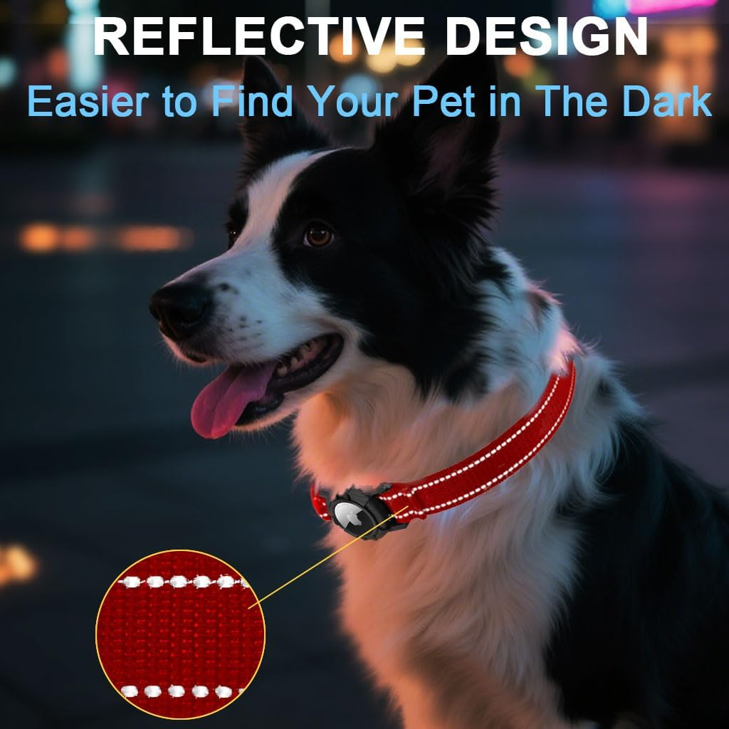 Ein Border Collie mit einem roten, reflektierenden Halsband bei Nacht.
