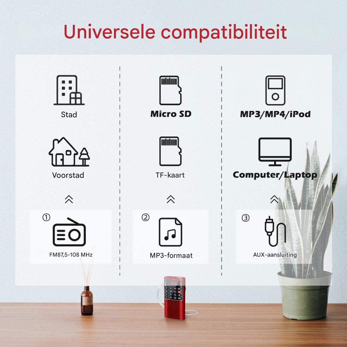 Infografik mit Symbolen: Stadt/Land, Micro SD/TF-Karte, MP3/Computer, FM-Radio, AUX-Kabel.