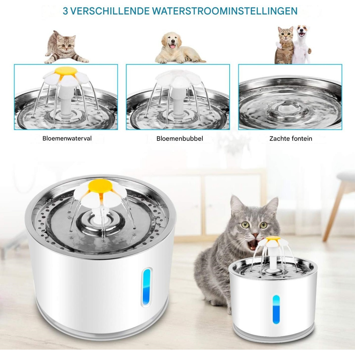 Katzen und Hunde trinken aus einem Wasserspender mit drei Flussarten.